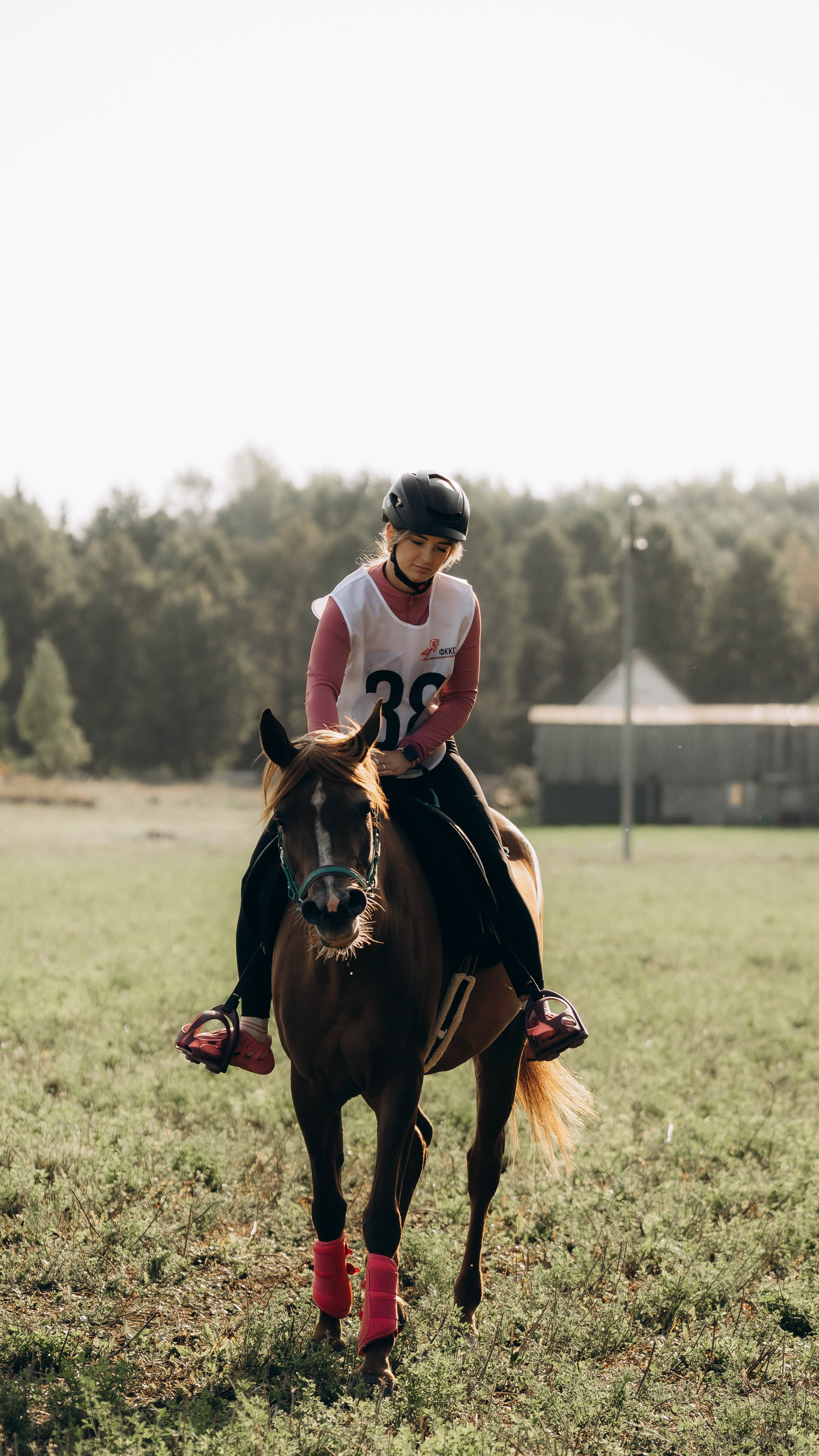 День Коня. Алиса Никитцова | Фотограф в Казани