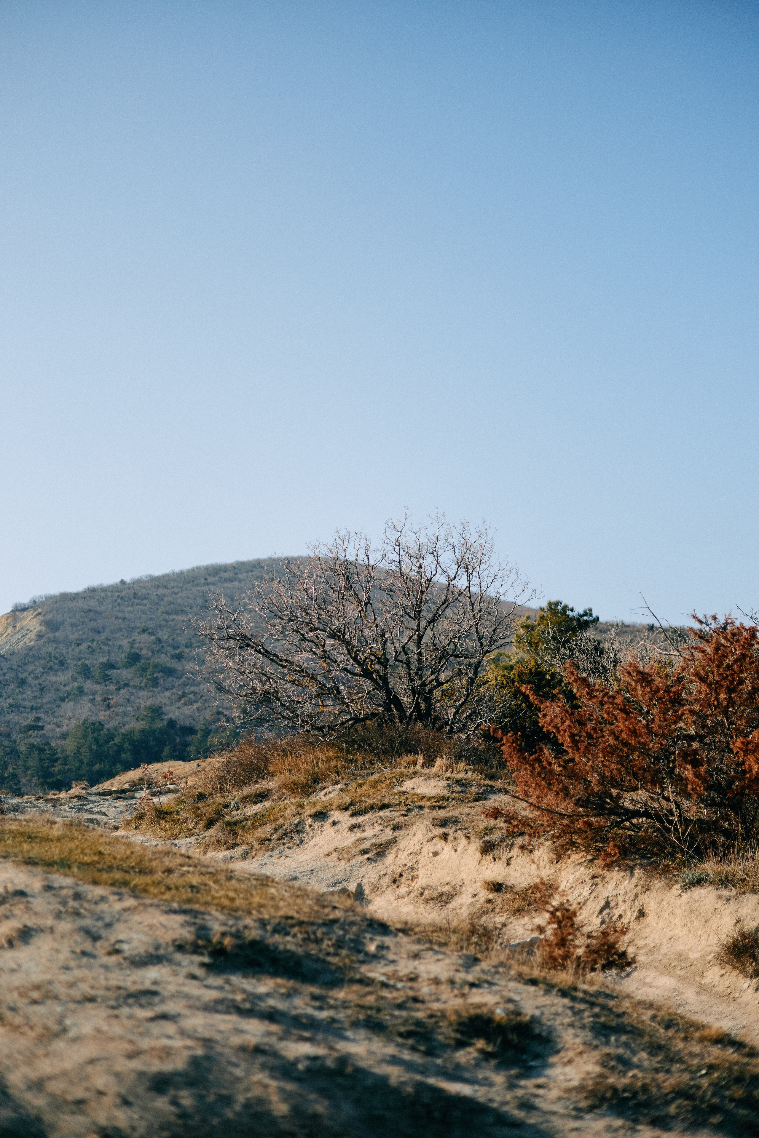 Юг России. Профессиональный Фотограф во Владимире, в Москве и в Суздале — Полина Романычева