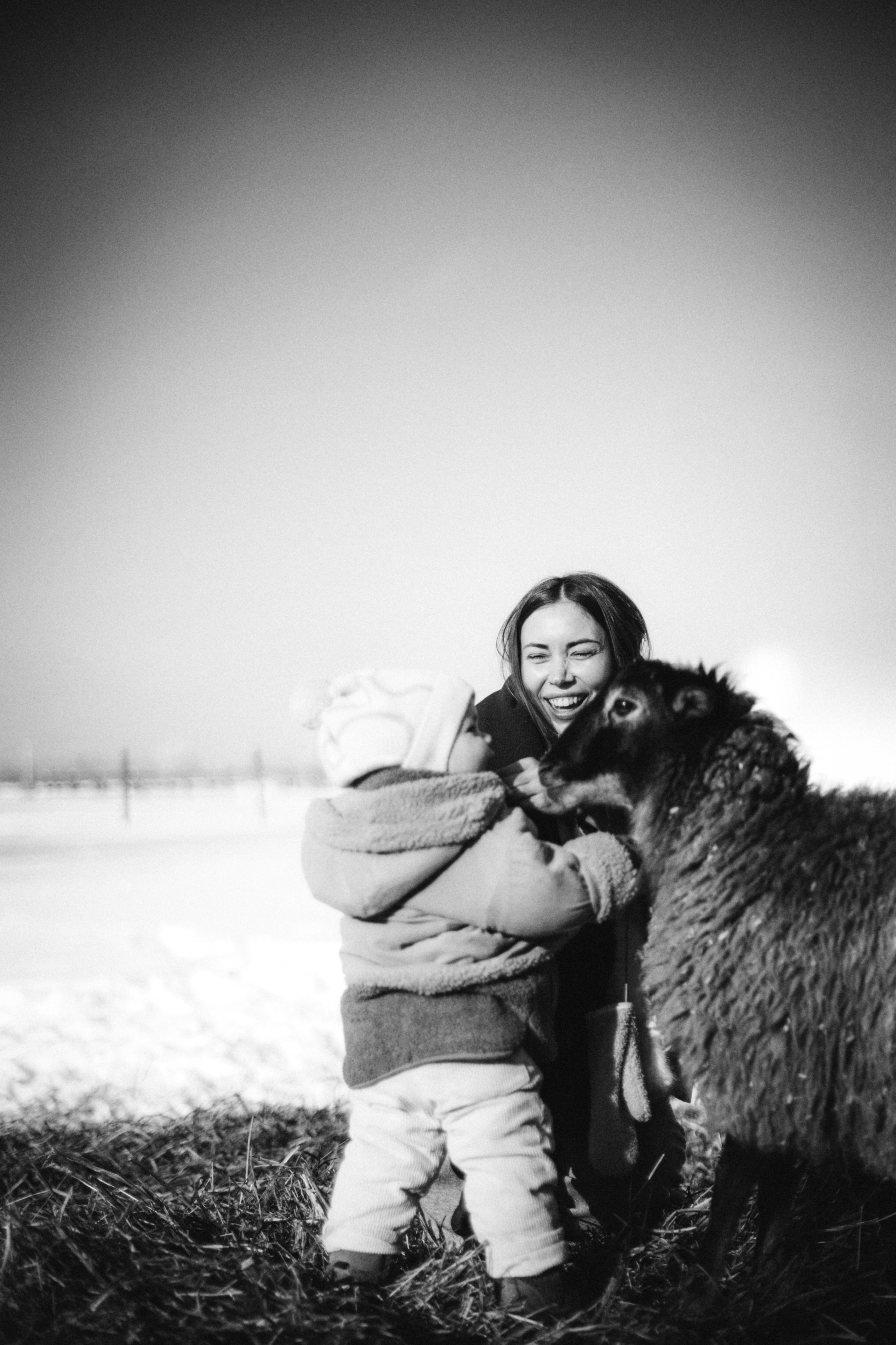 Настя с Сашей и Полей на ферме. Klerout Photographer