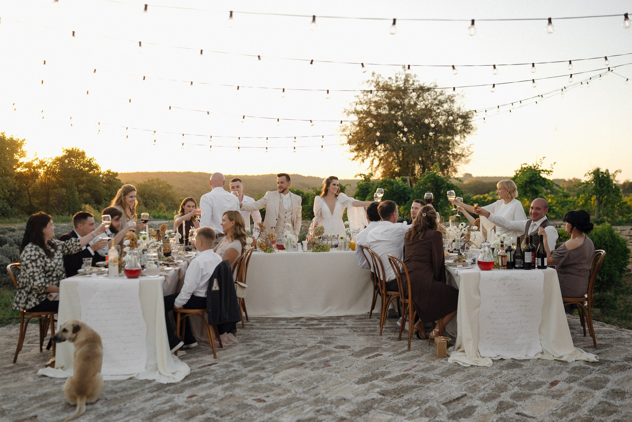 Любовь в Шато. Свадебный фотограф в Краснодаре и Сочи Винидиктова Екатерина