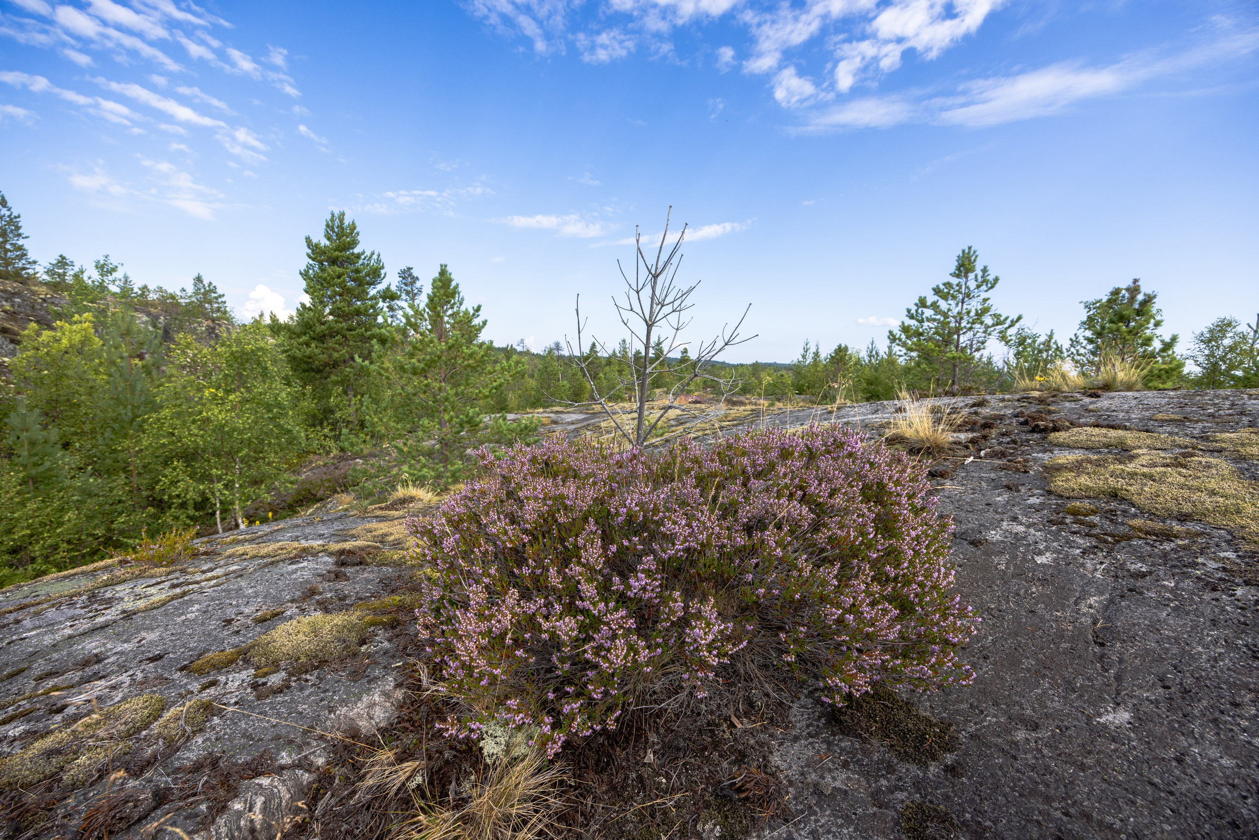 Ладога. Автомобильная фотография в Санкт-Петербурге
