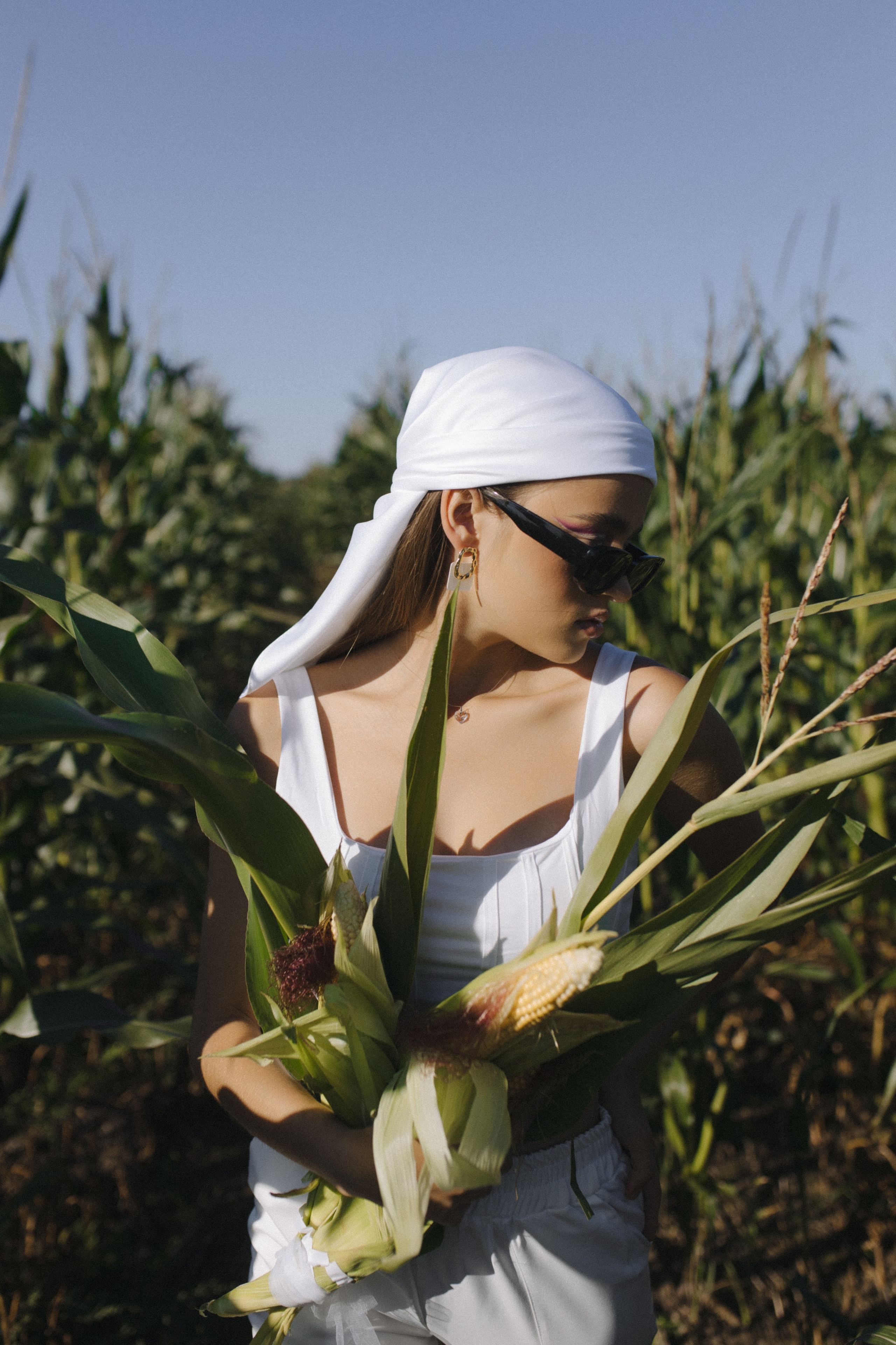 Любовь нашла в кукурузе