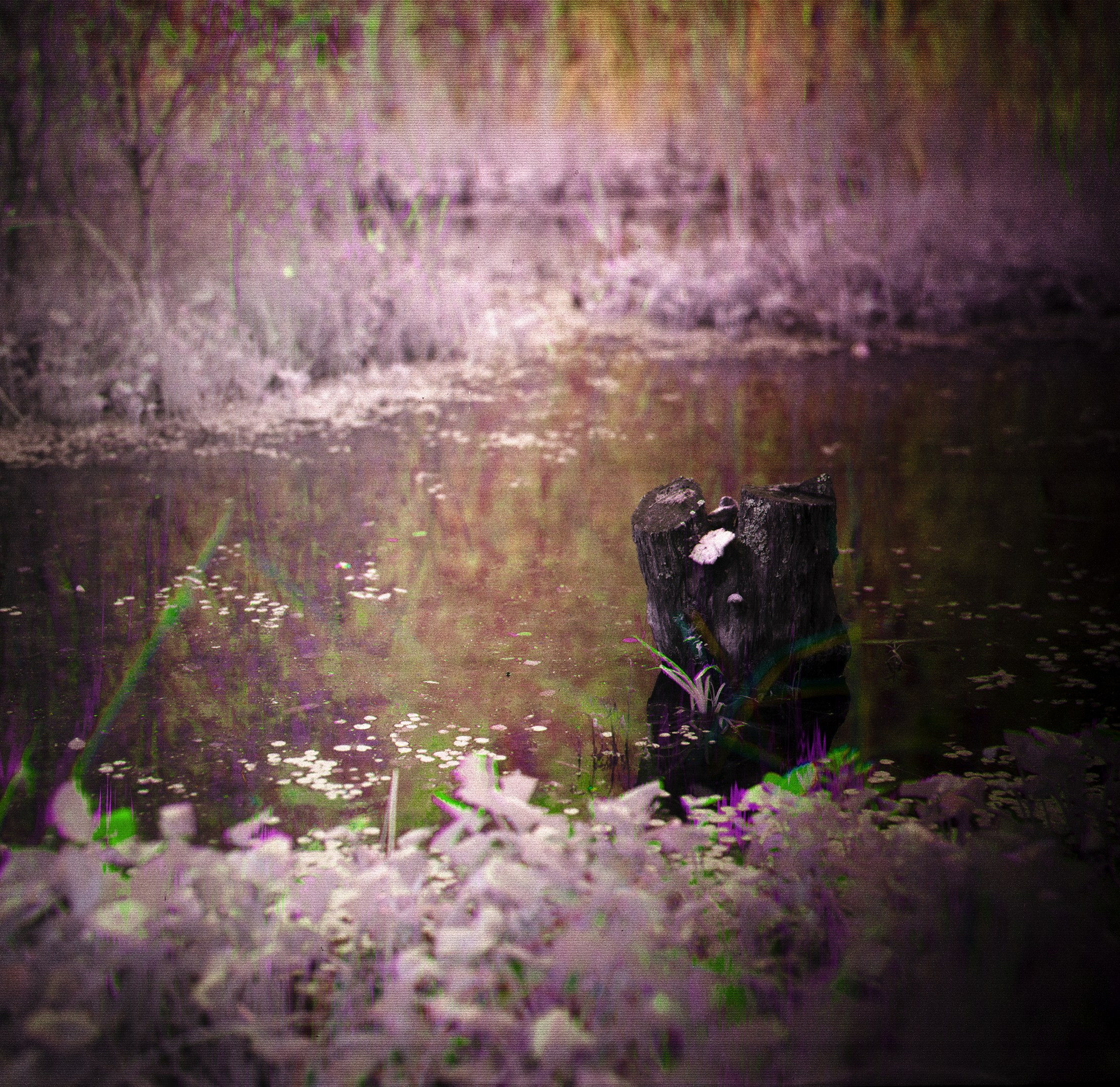 Хроно-камера «Буратино». Roman Hodirev is an esoteriologist, multidisciplinary artist, photographer and musician. Saint Petersburg, Riga