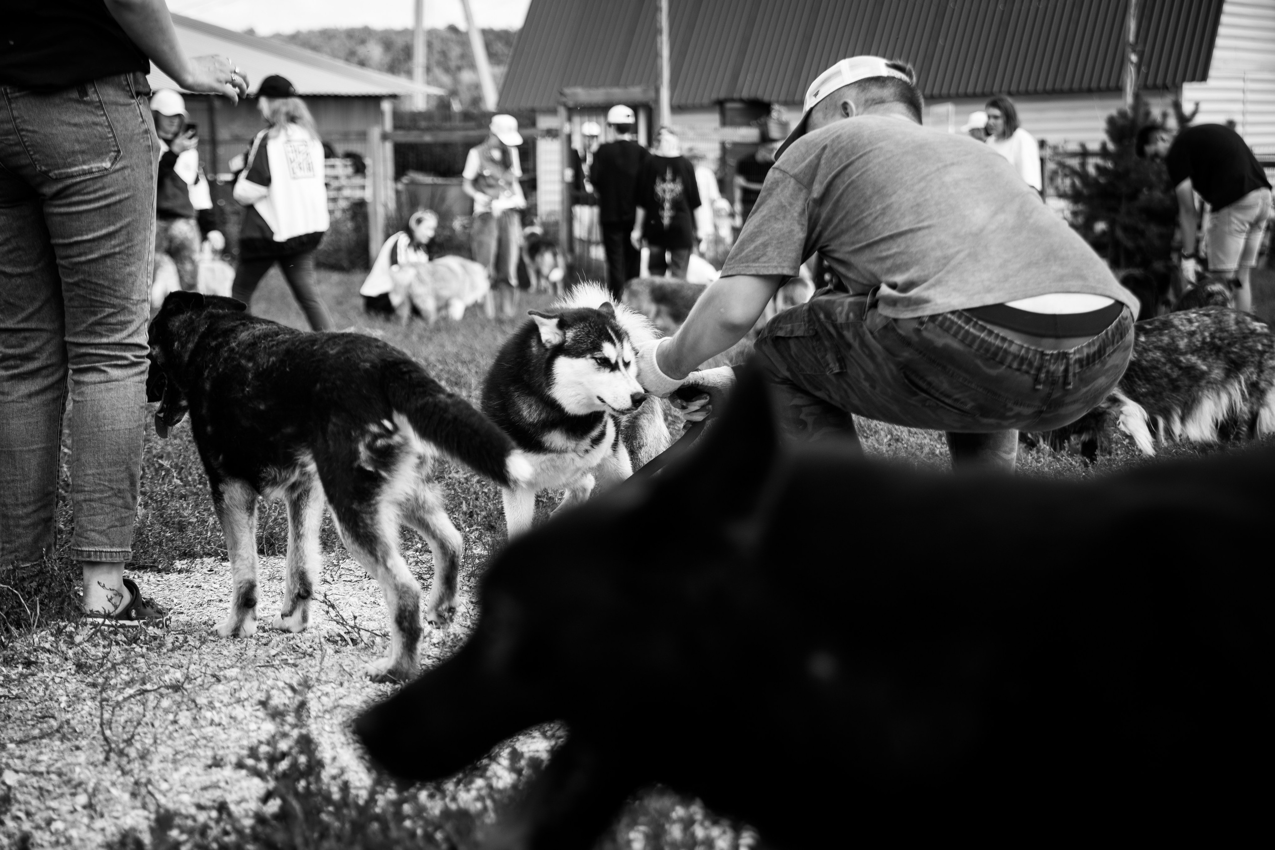 Приют — Наш дом. Репортажный и свадебный фотограф в Челябинске Елисеев Павел