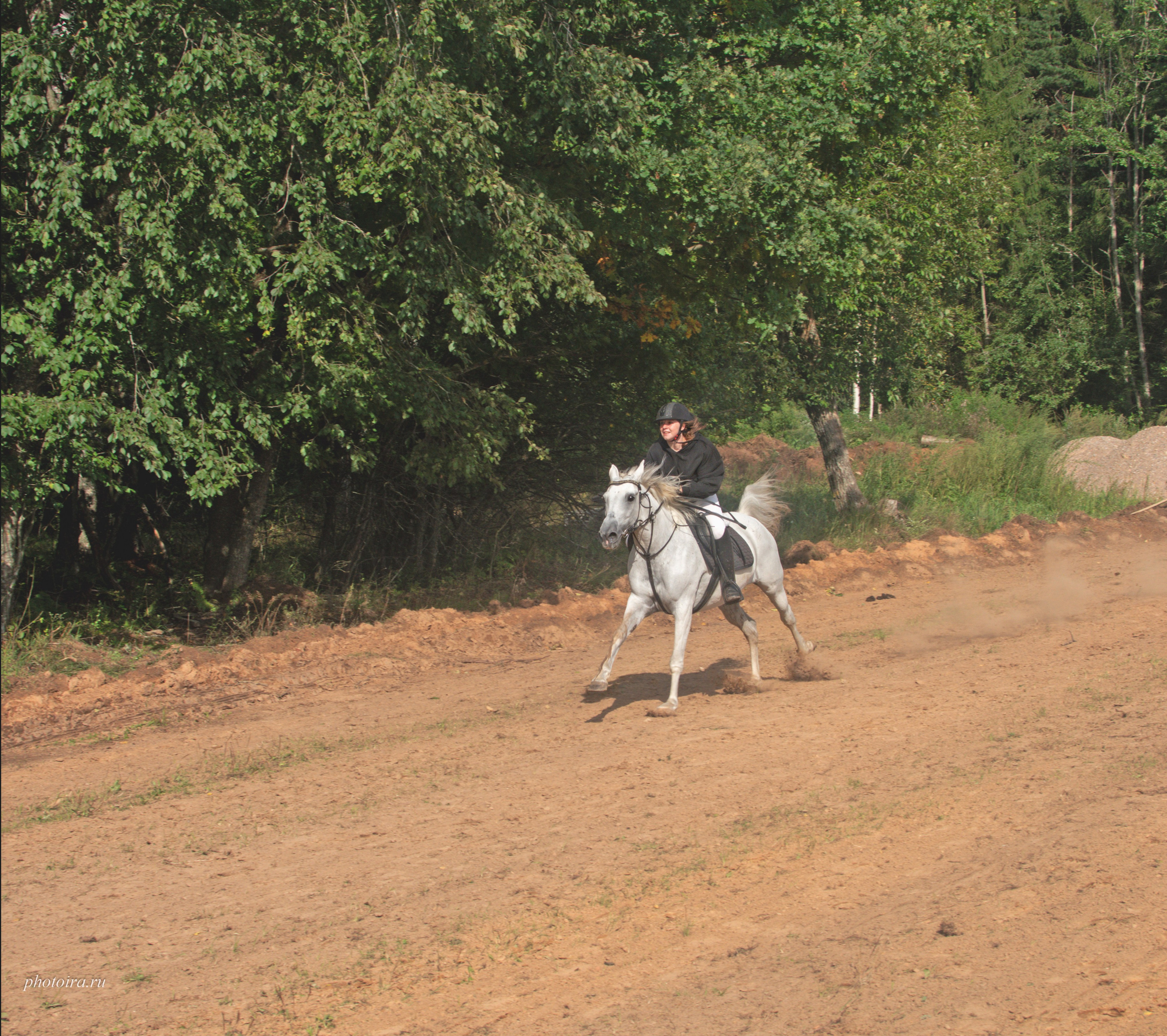Мероприятия. Семейный фотограф в г. Гатчина