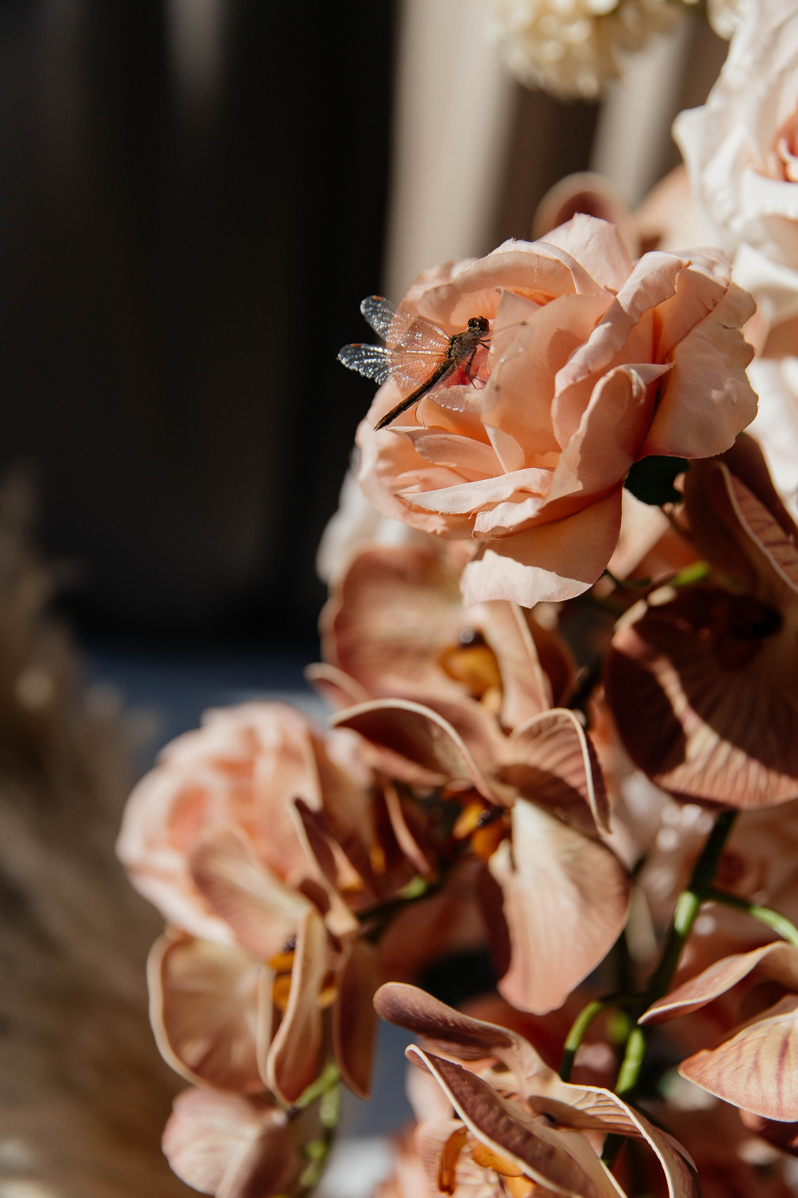 Константин & Ольга. Главная