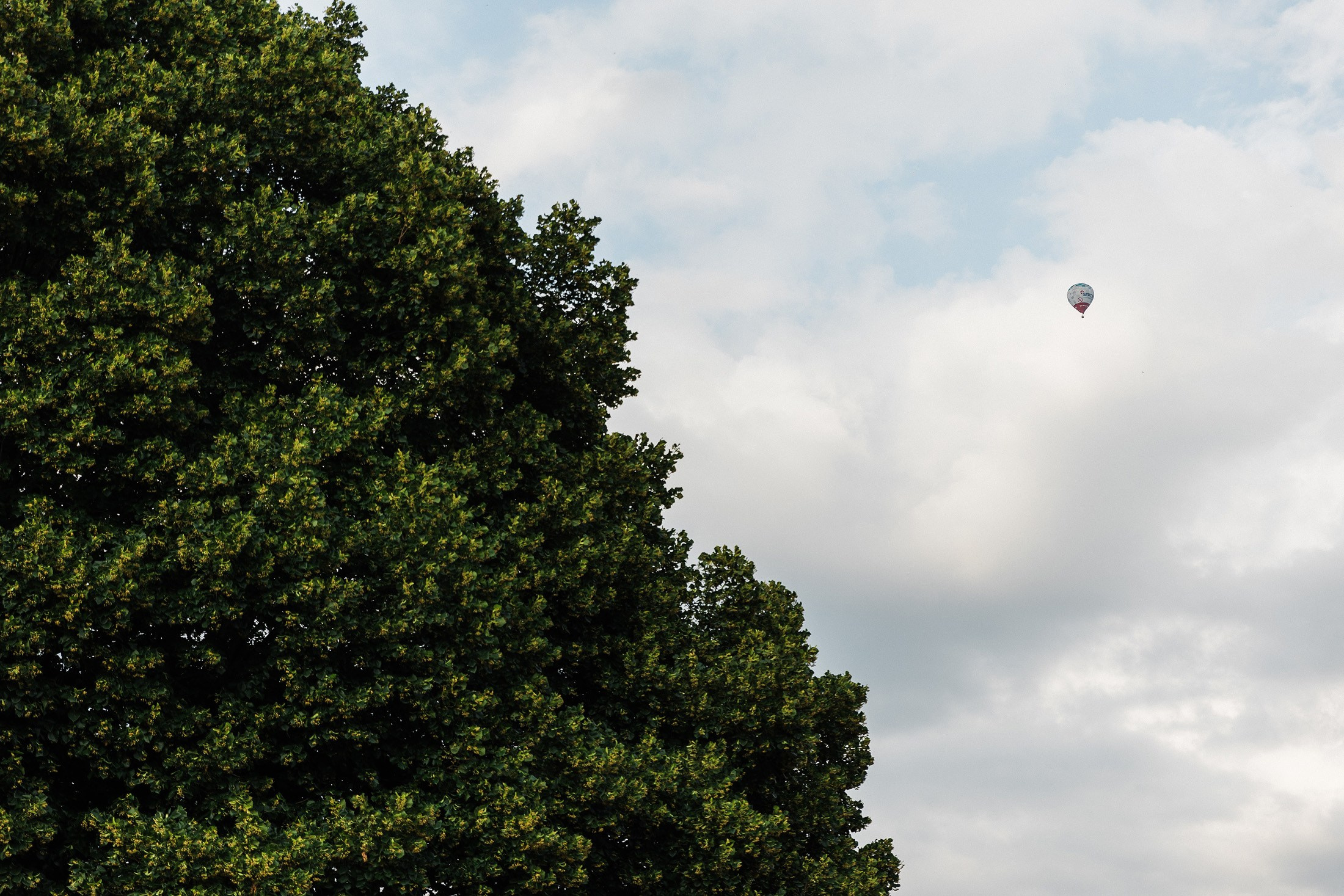 Аня и Вова. Свадебный и семейный фотограф в Краснодаре Роман Моско