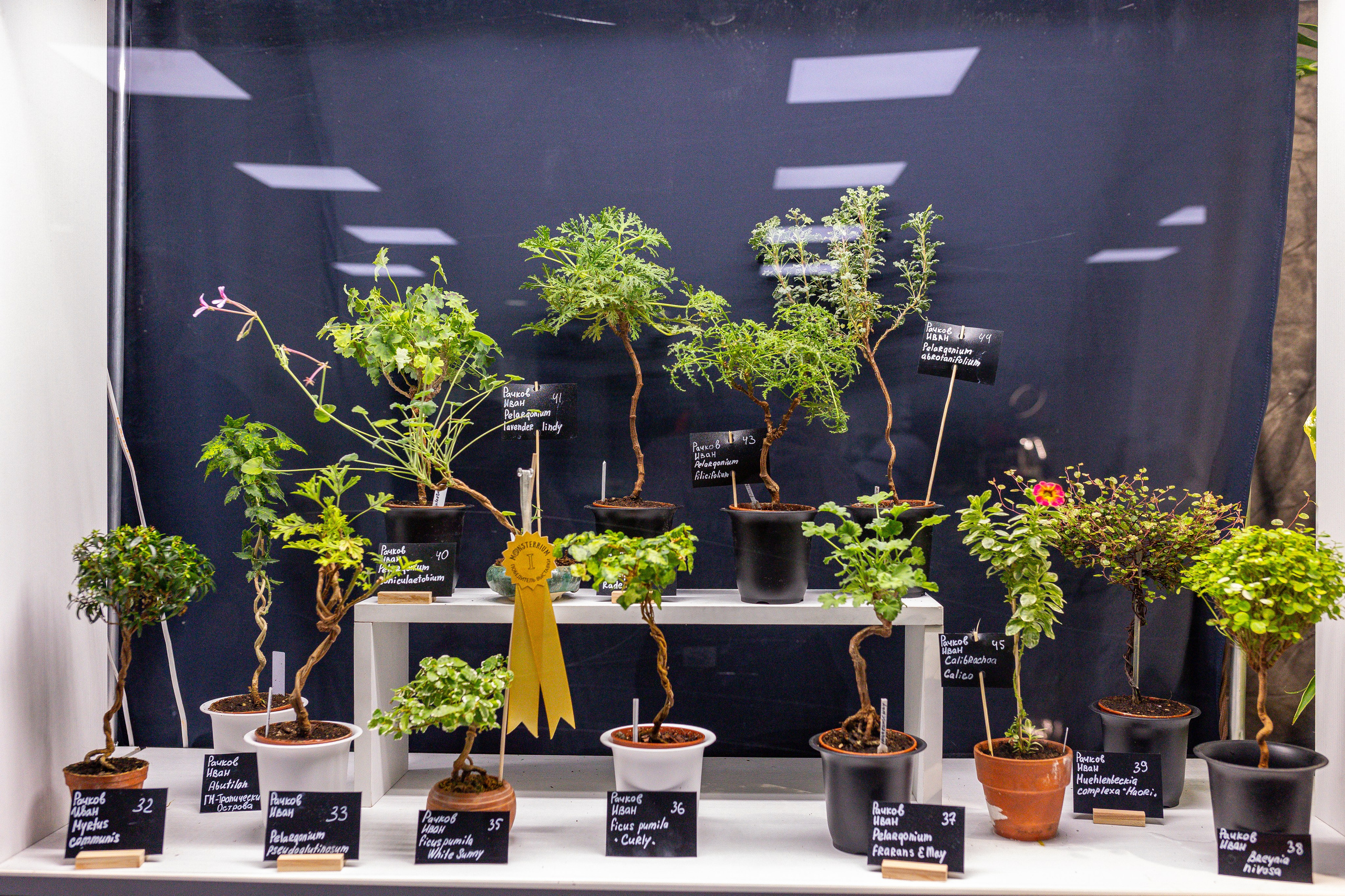 Монстериум 11–12 октября. Александра Куликова фотограф, Москва