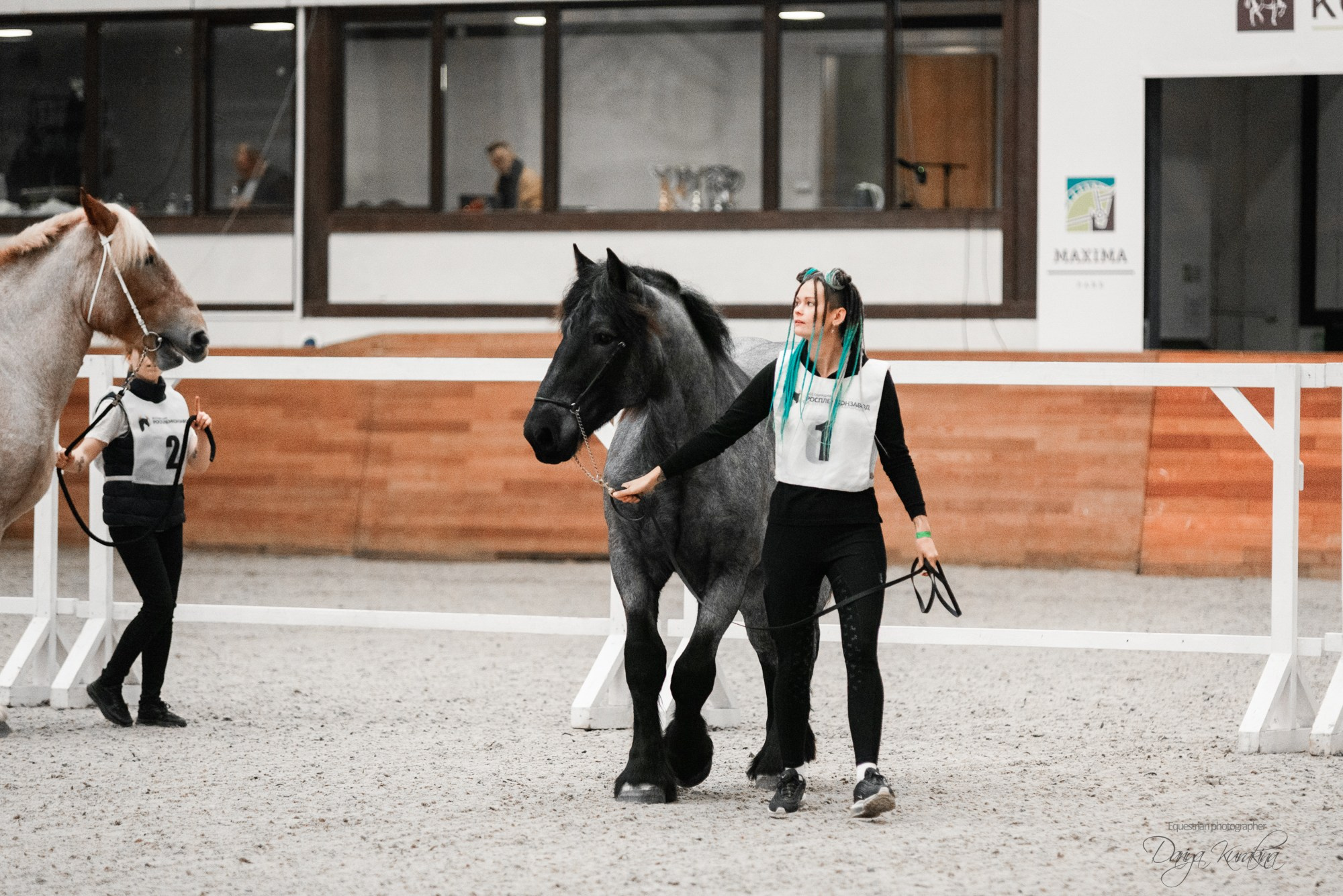 8-я международная выставка Конная Россия. Конный фотограф Куракина Дарья • Фотосессии с лошадьми