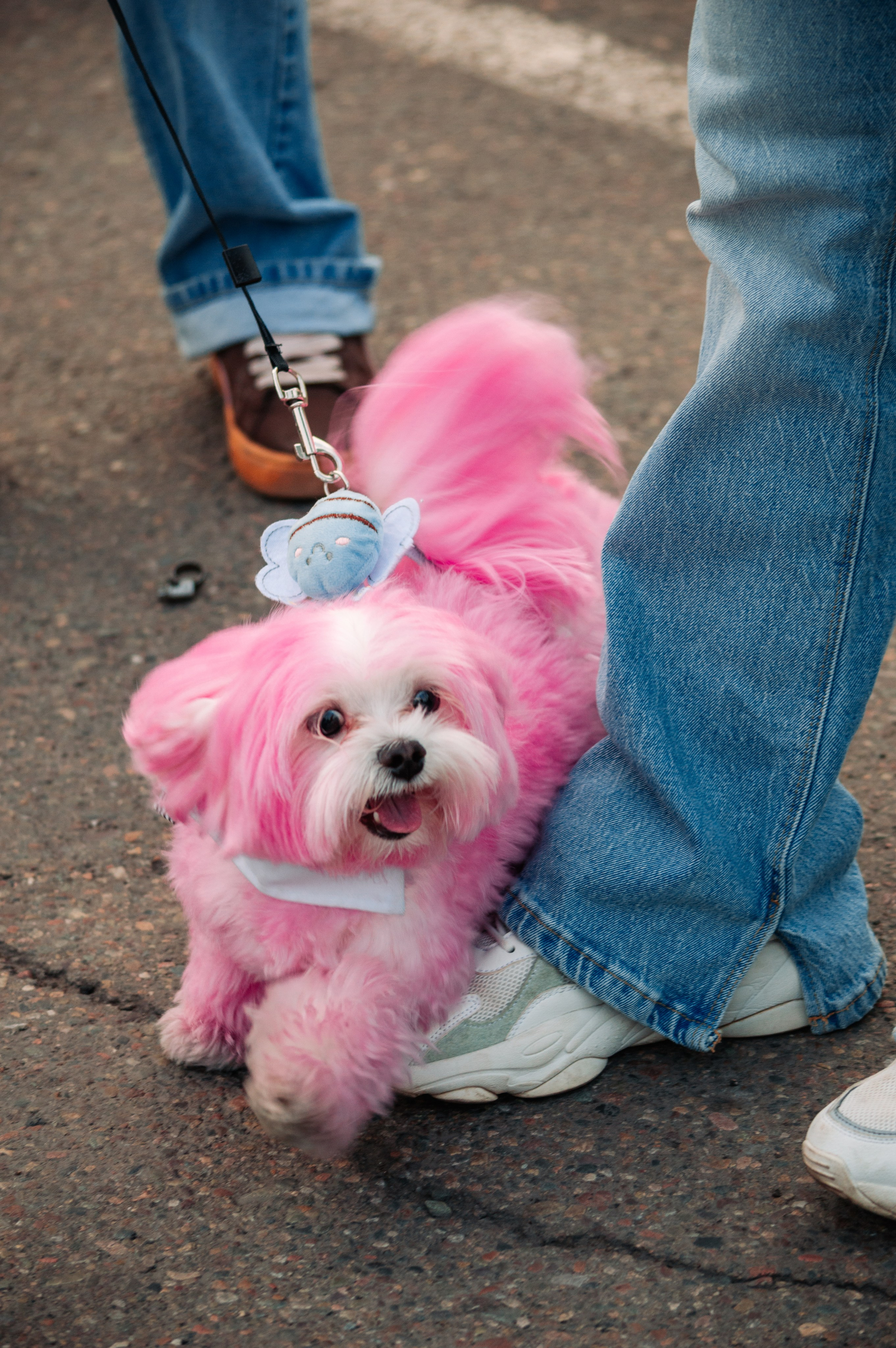 Закрытие Автосезона 2025. G G L V D M T R | Фотограф в Красноярске