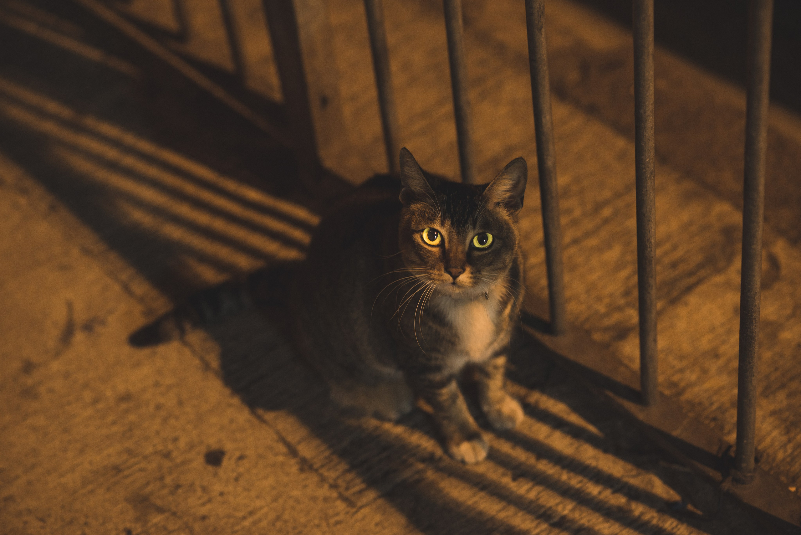 Фотограф из Гуанчжоу в Гонконге| Истории, вдохновение и работа. Коммерческий и предметный фотограф в Гуанчжоу Коваленко Александр