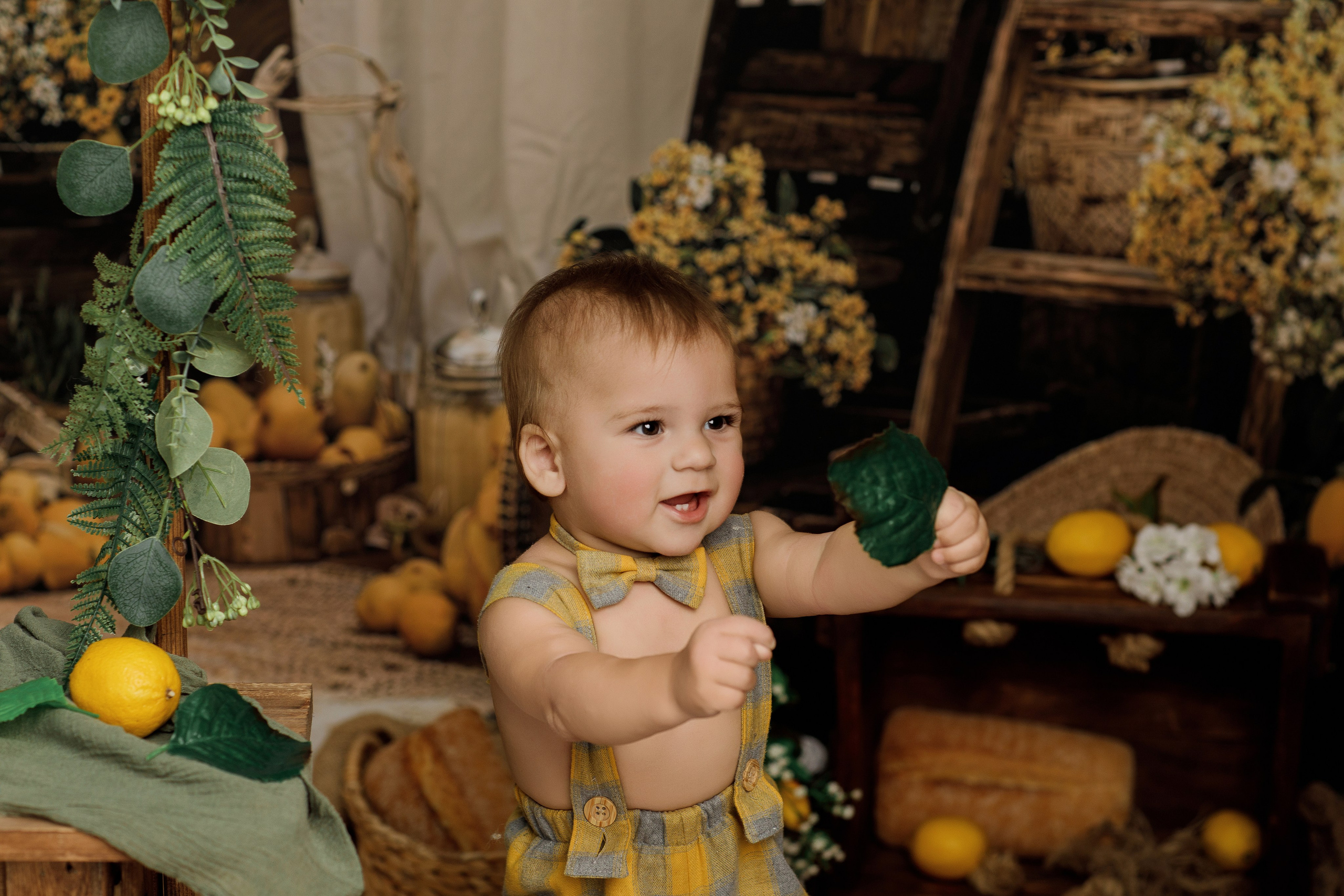 Лимончики. Фотограф новорождённых Псков