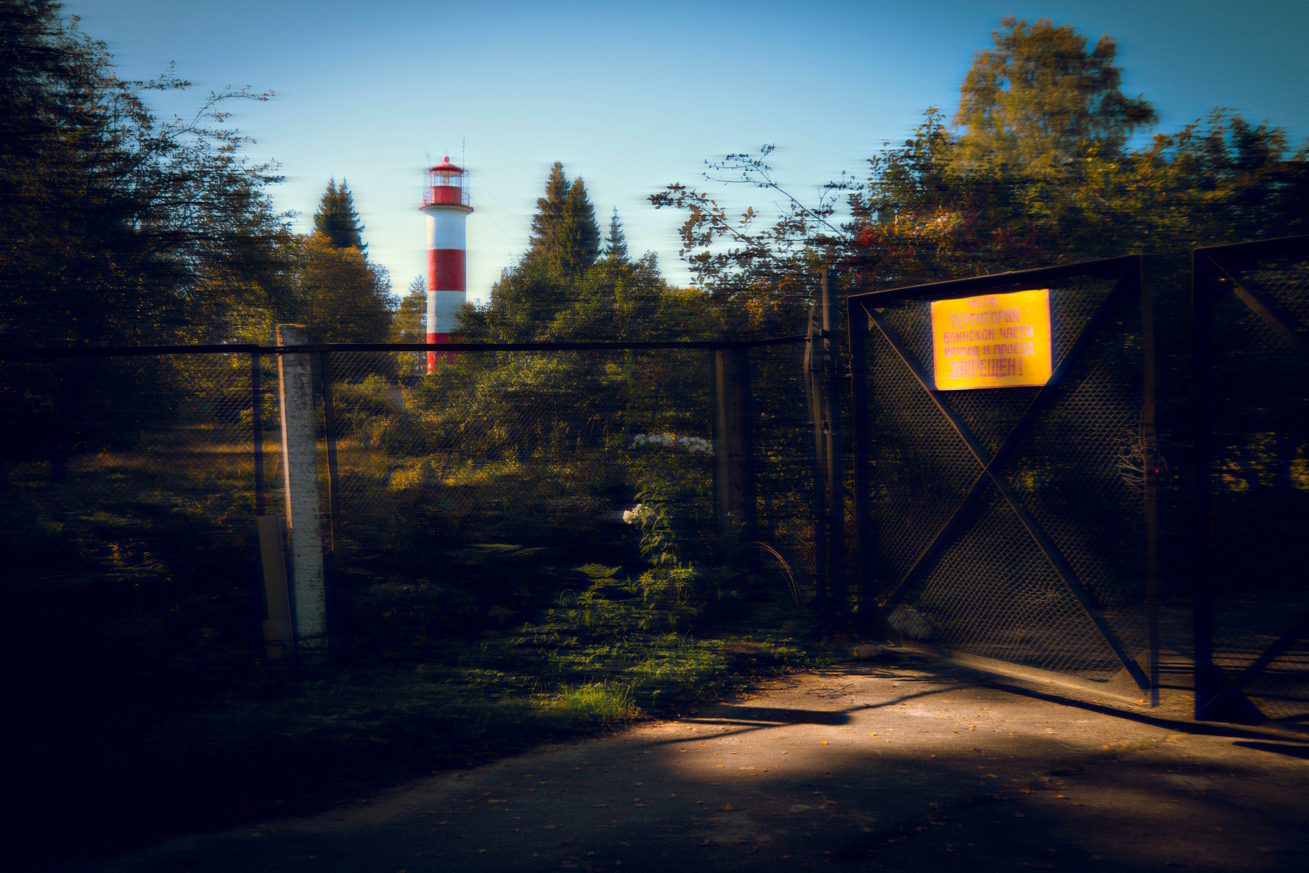 Из наблюдений. Плак или Квак