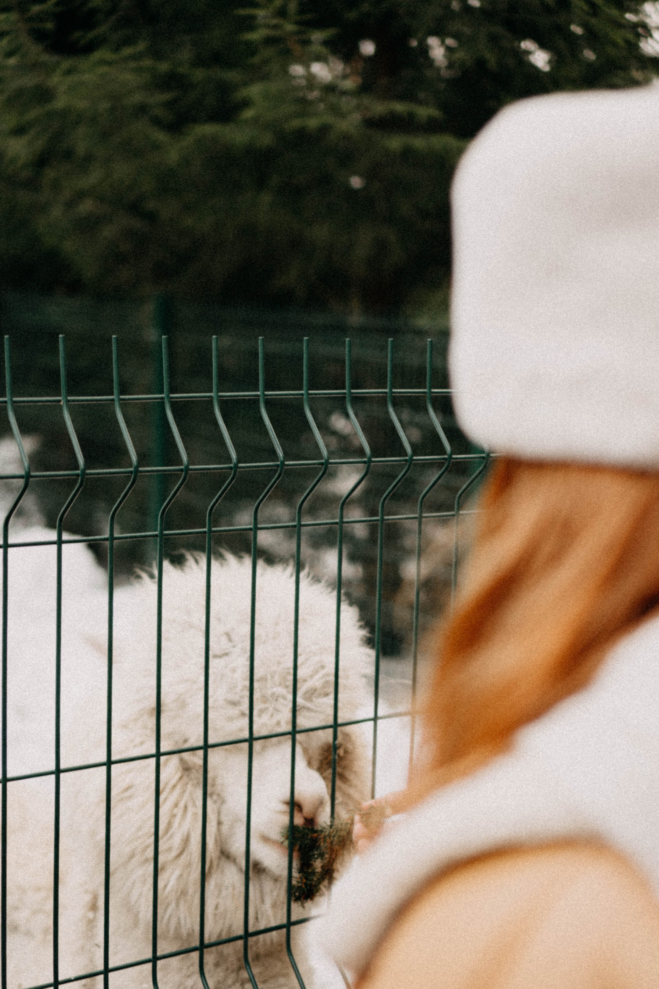Каток. Профессиональный фотограф, Санкт-Петербург — Виктория Богомолова