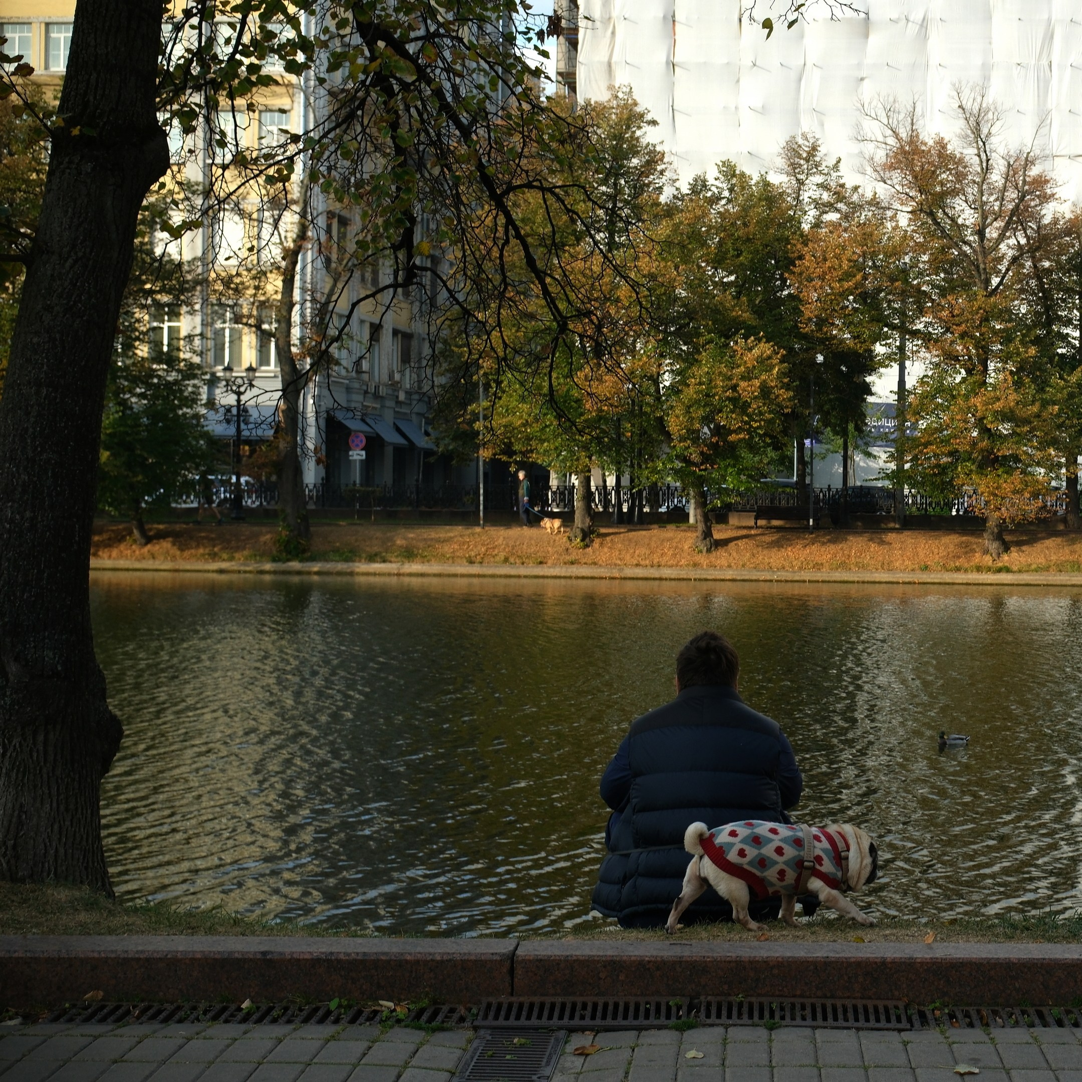 Сентябрь 2025. Улица, люди, жизнь…