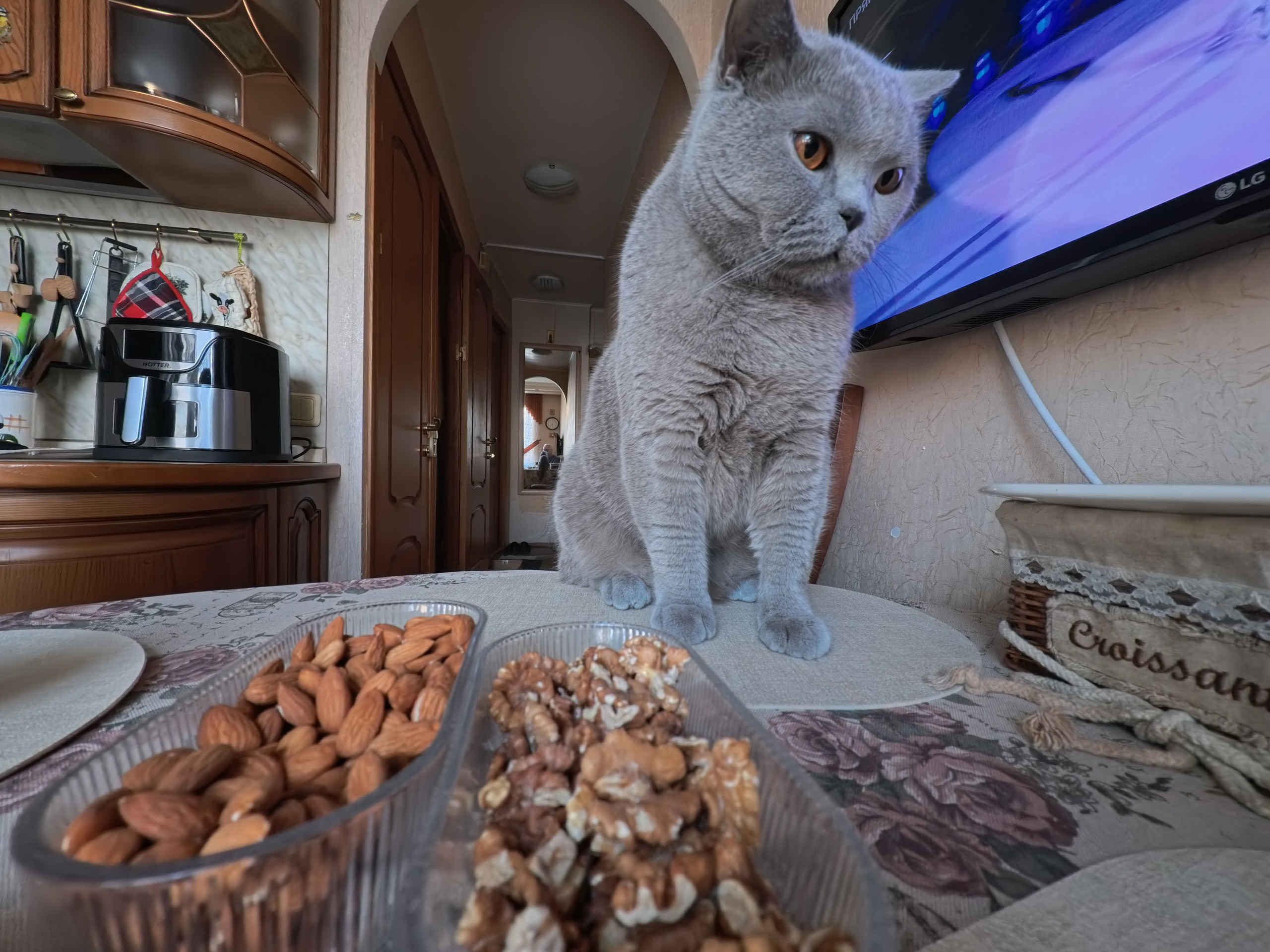 Улица, люди, жизнь…