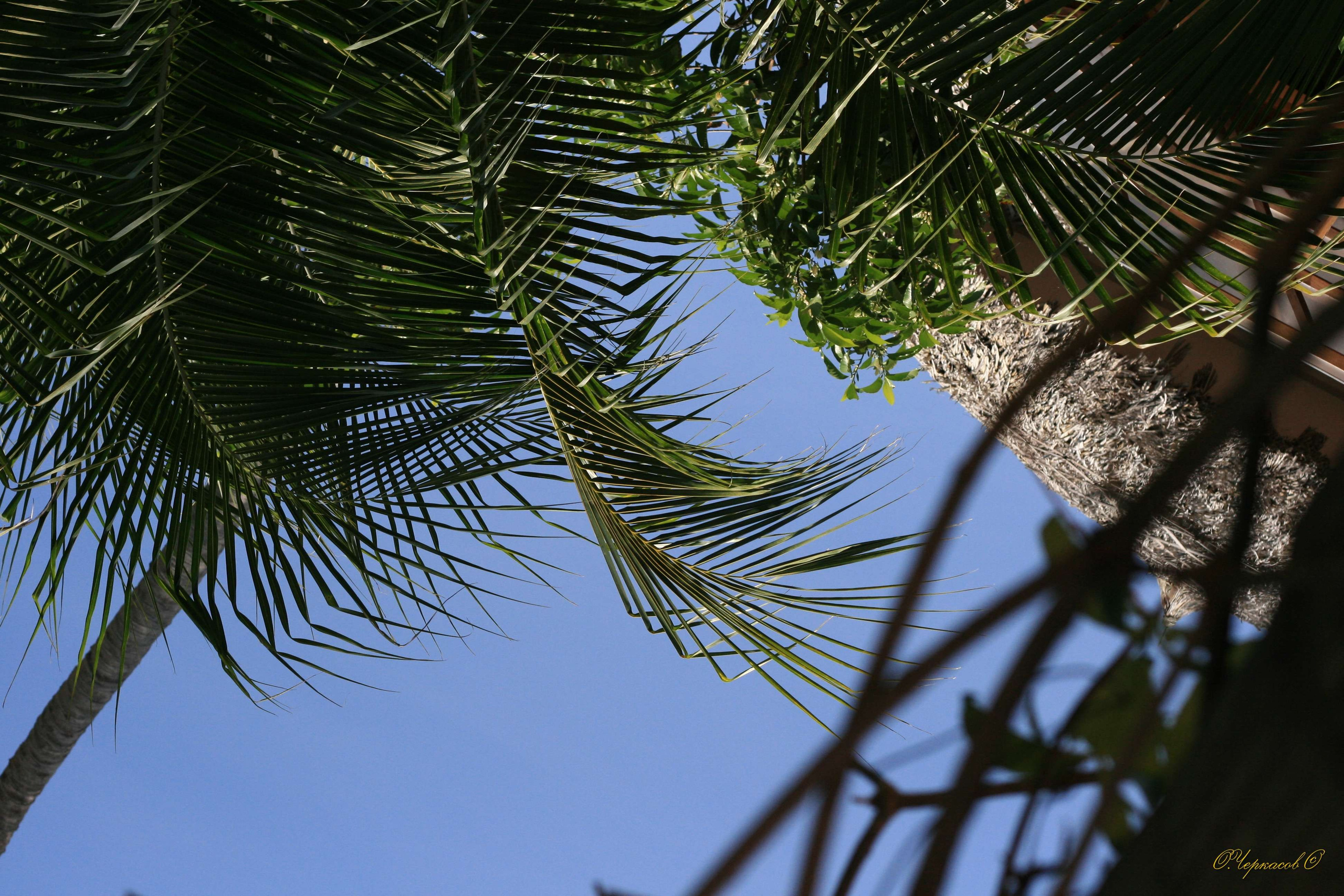 Вьетнам 2008 г. Улица, люди, жизнь…