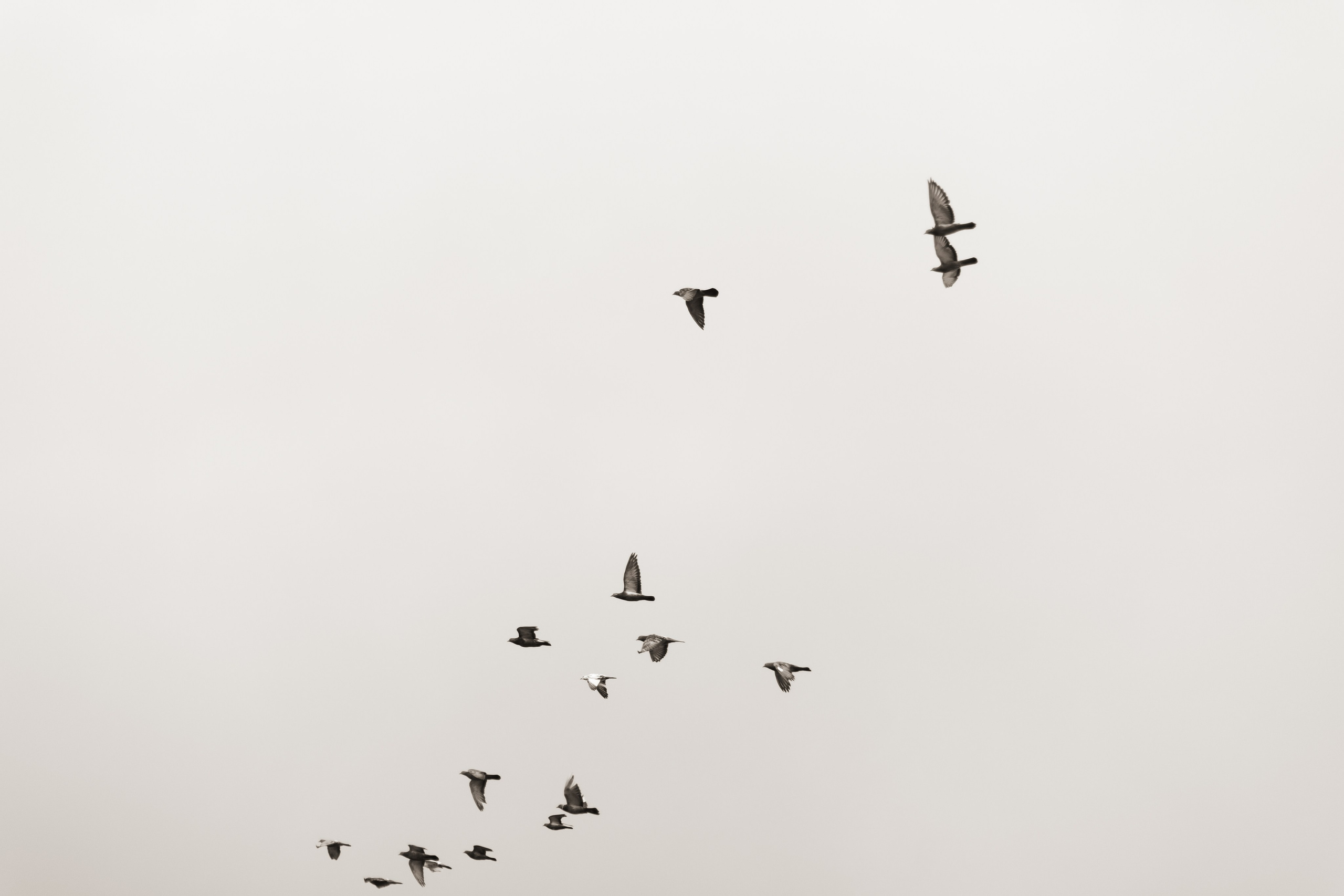 Артем и Анастасия: свадьба с танцами в замке. @dariazphoto свадебный фотограф