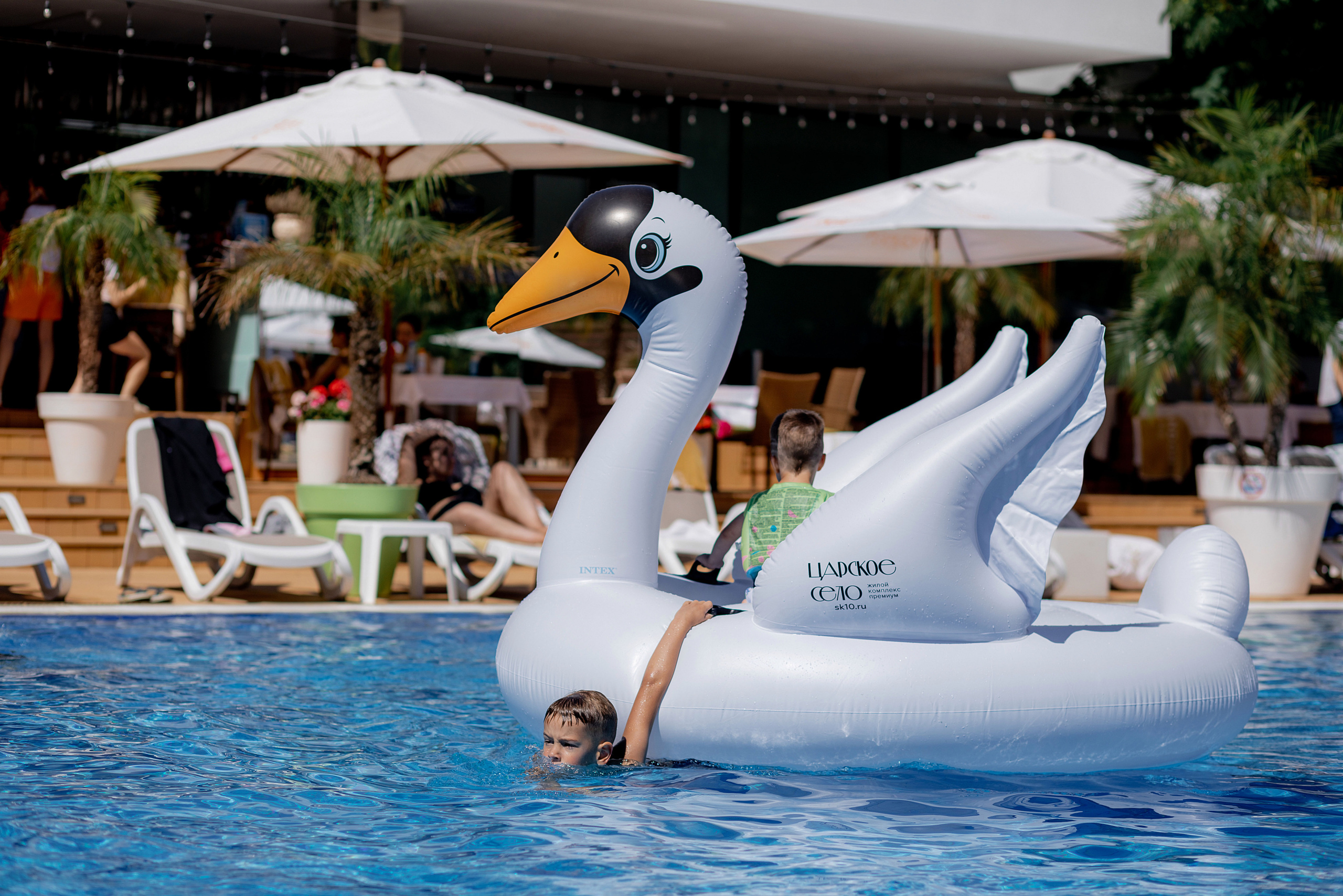 Фотограф на день рождения в ресторан. Красильников Евгений — профессиональный фотограф в Ростове-на-Дону