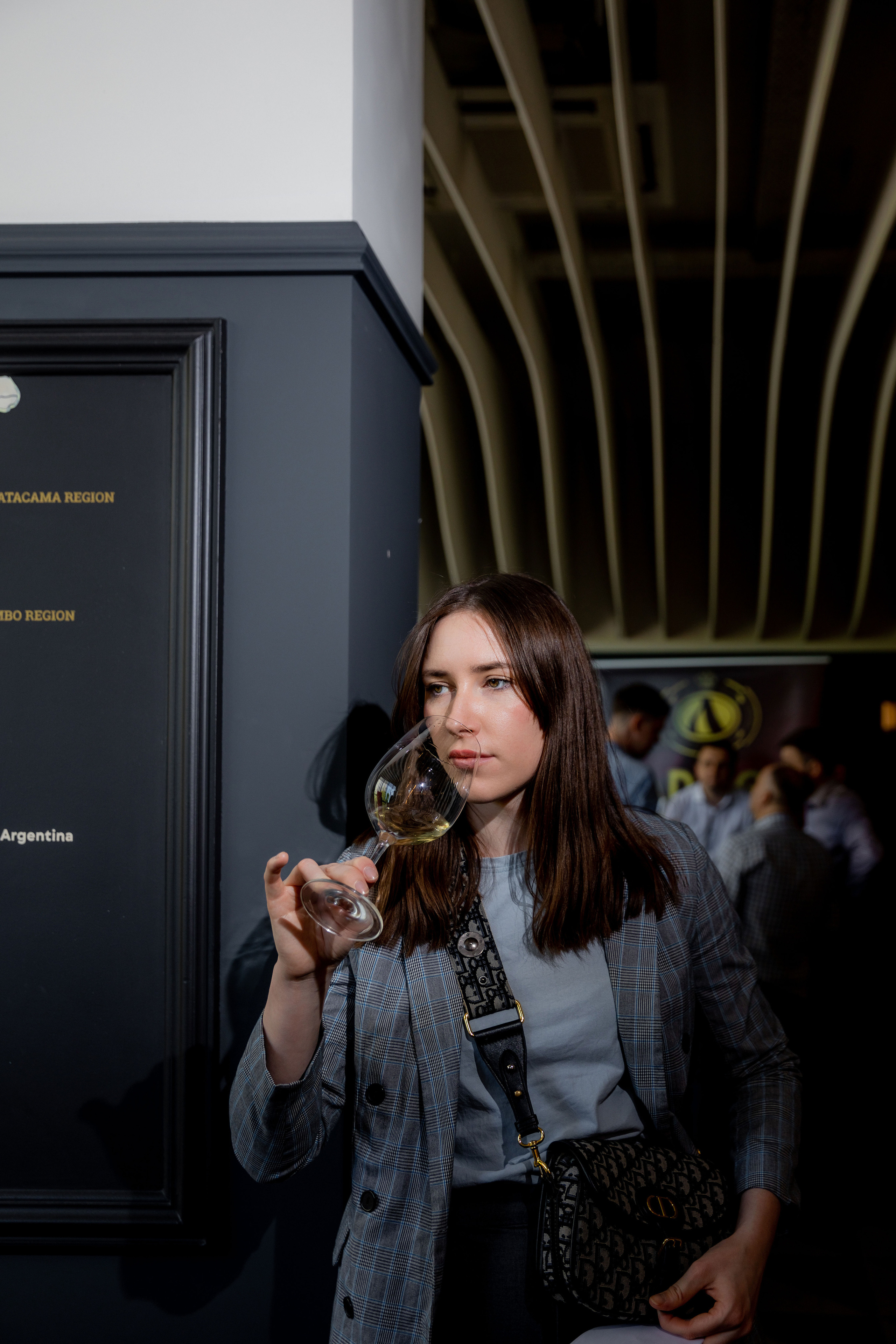 Репортажная съемка фестиваля вина г. Ростов-на-дону. Красильников Евгений — профессиональный фотограф в Ростове-на-Дону