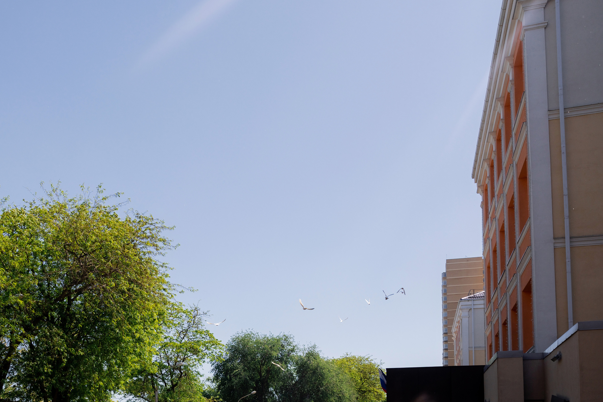 Фотограф г. Ростов-на-дону. Красильников Евгений — профессиональный фотограф в Ростове-на-Дону