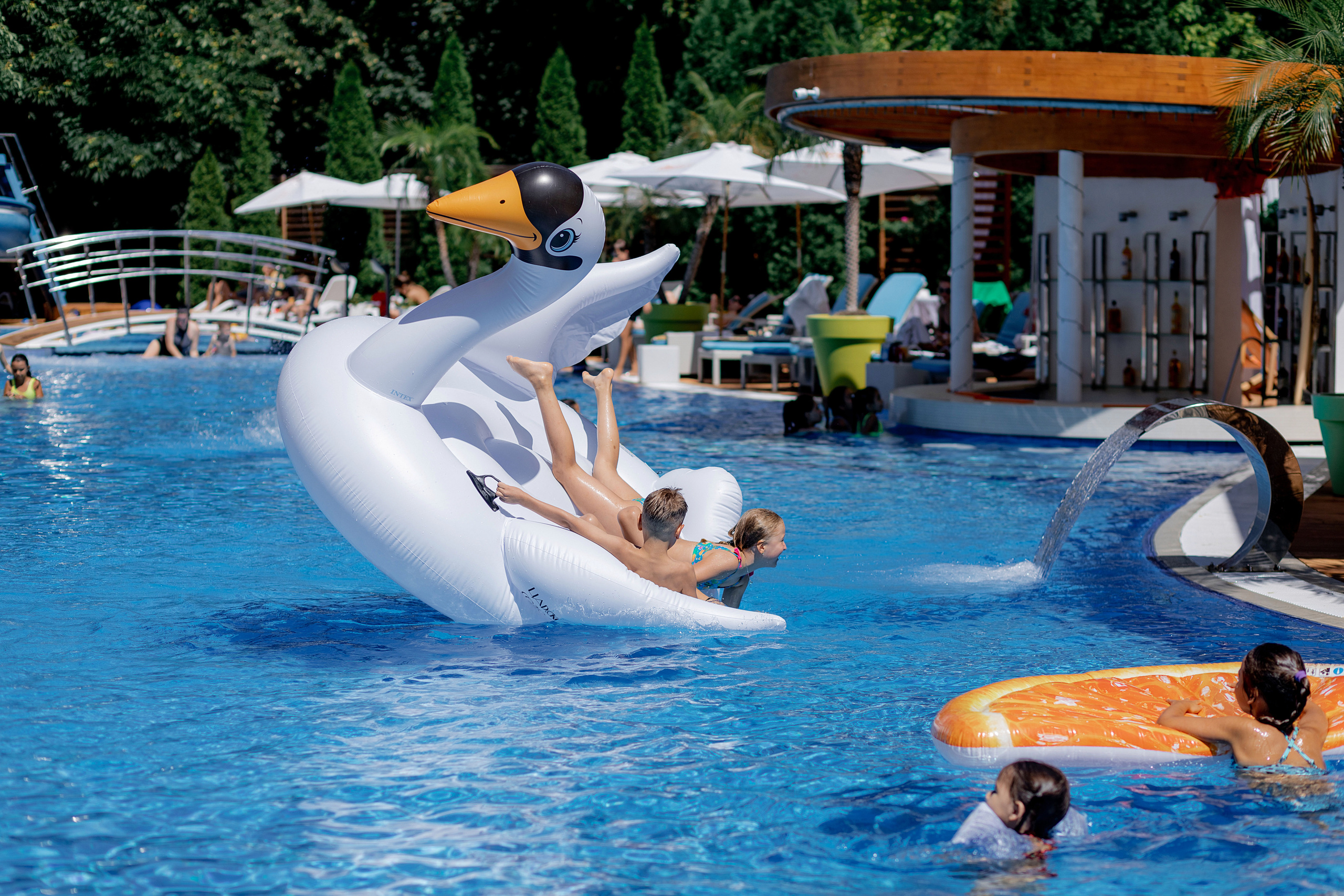 Фотограф на день рождения в ресторан. Красильников Евгений — профессиональный фотограф в Ростове-на-Дону