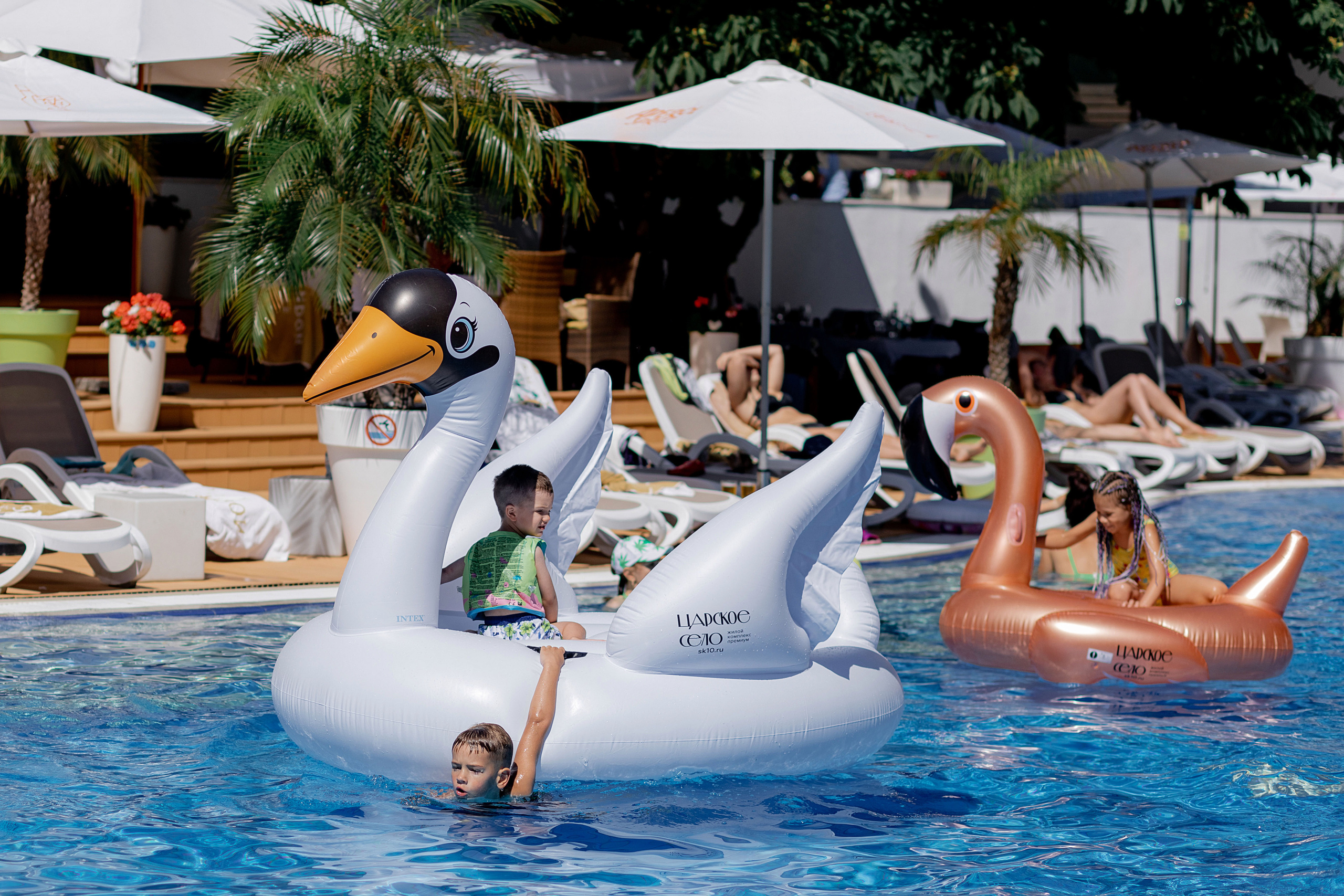 Фотограф на день рождения в ресторан. Красильников Евгений — профессиональный фотограф в Ростове-на-Дону