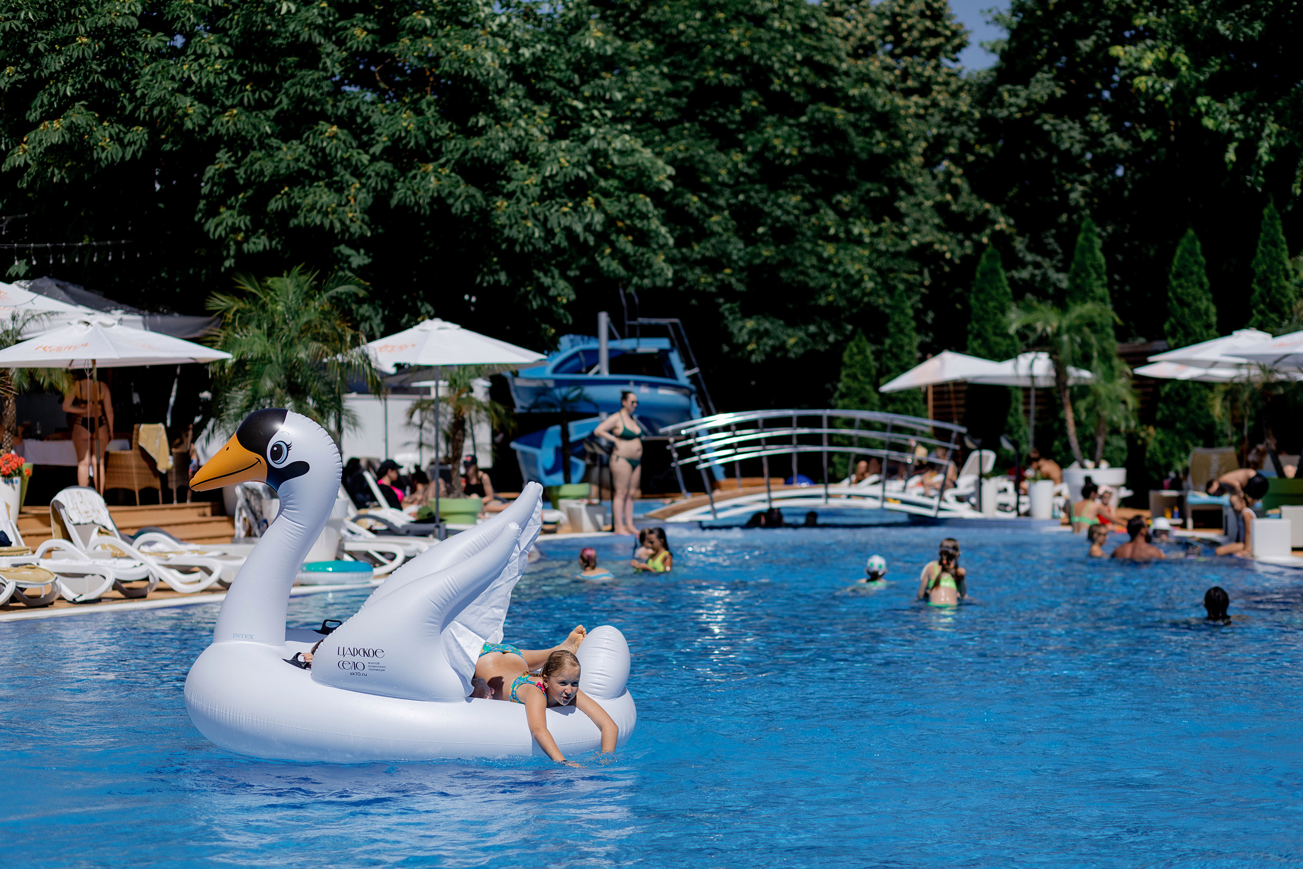 Фотограф на день рождения в ресторан. Красильников Евгений — профессиональный фотограф в Ростове-на-Дону