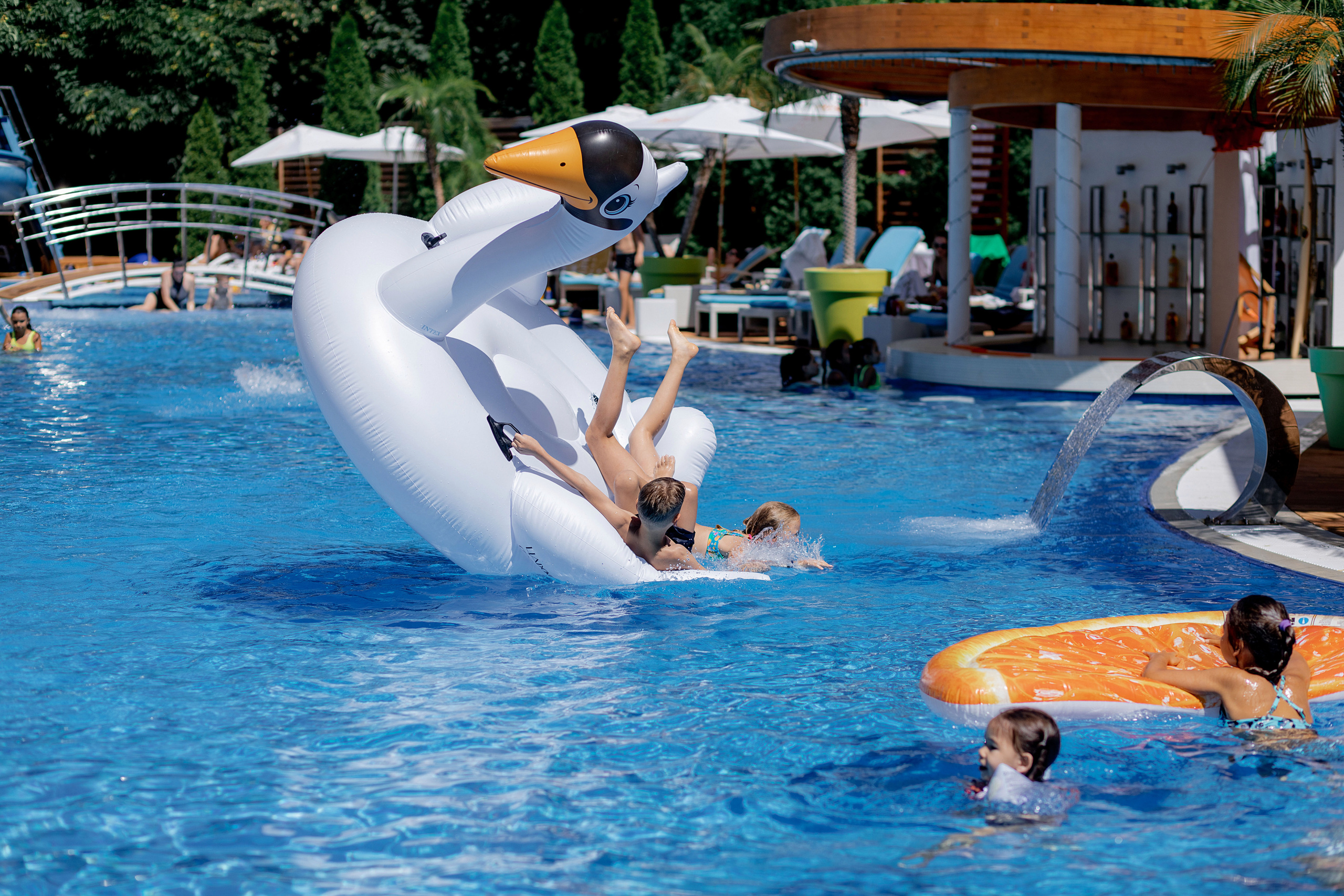 Фотограф на день рождения в ресторан. Красильников Евгений — профессиональный фотограф в Ростове-на-Дону