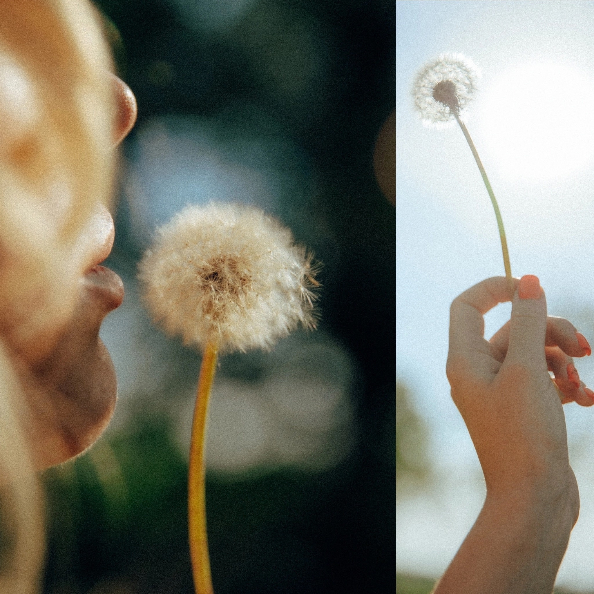 Индивидуальная фотосессия и портреты в Ростове-на-Дону — Евгений Красильников. Красильников Евгений — профессиональный фотограф в Ростове-на-Дону