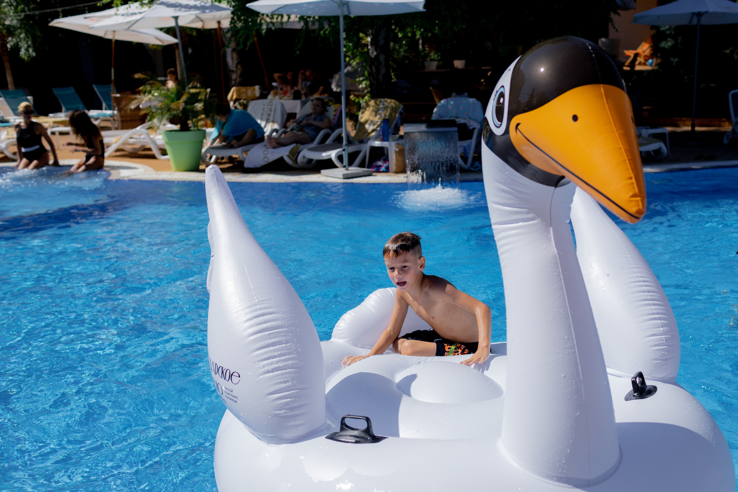 Фотограф на день рождения в ресторан. Красильников Евгений — профессиональный фотограф в Ростове-на-Дону