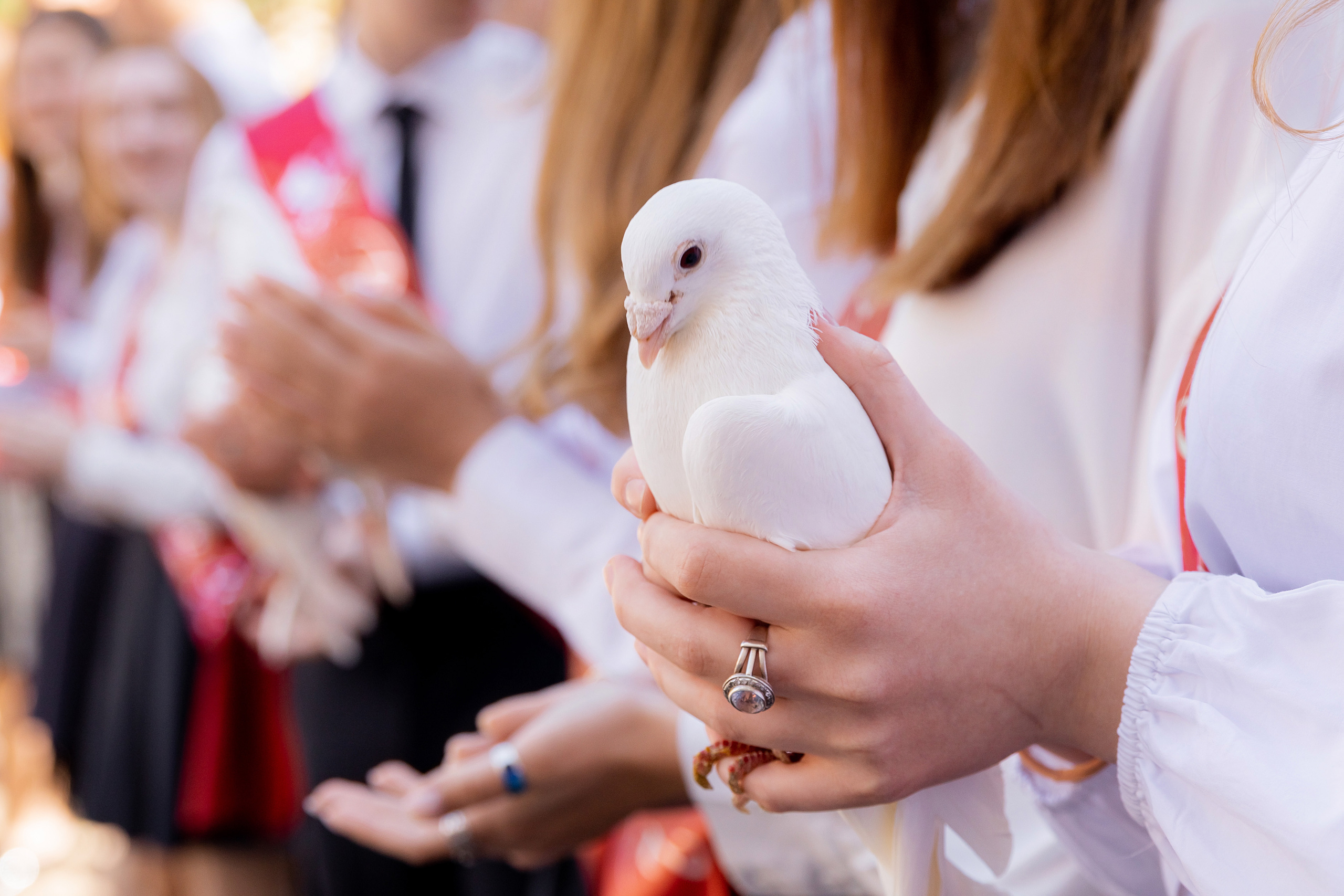 Фотограф г. Ростов-на-дону. Красильников Евгений — профессиональный фотограф в Ростове-на-Дону