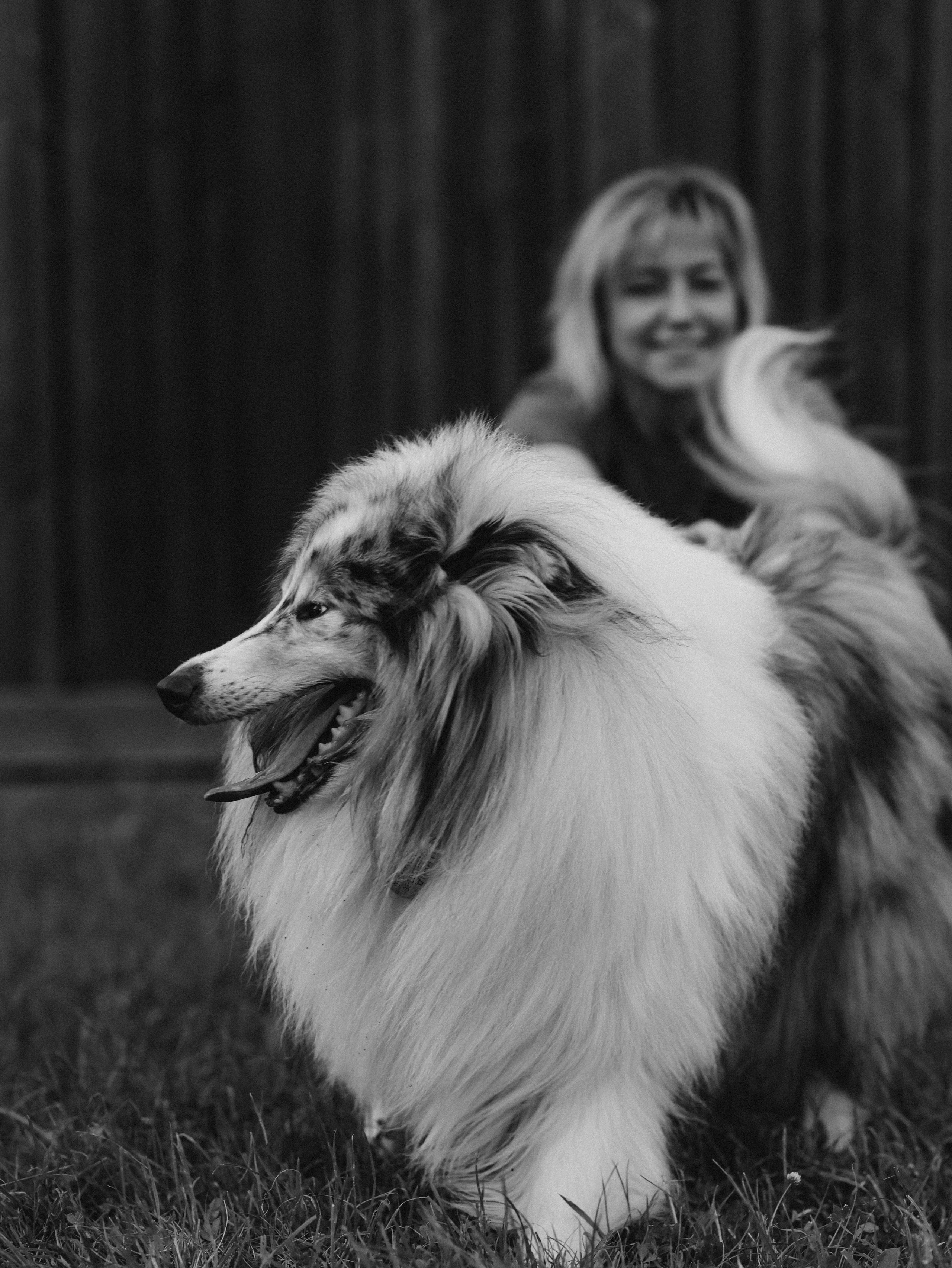 Гранд и Инга. Фотограф-анималист в Москве Кириллова Татьяна