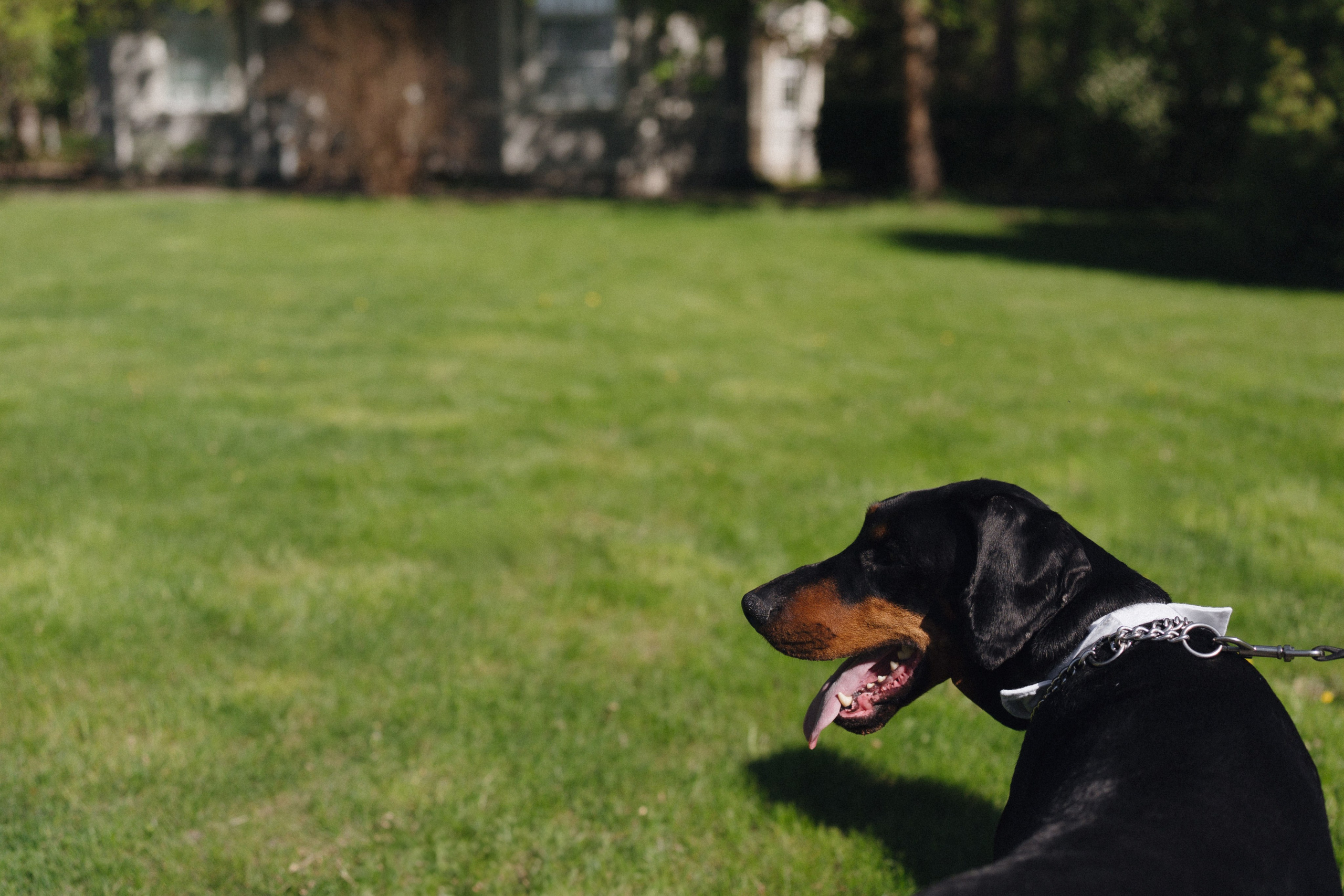Скандинавия. Фотограф в Санкт-Петербурге Александр Дымов