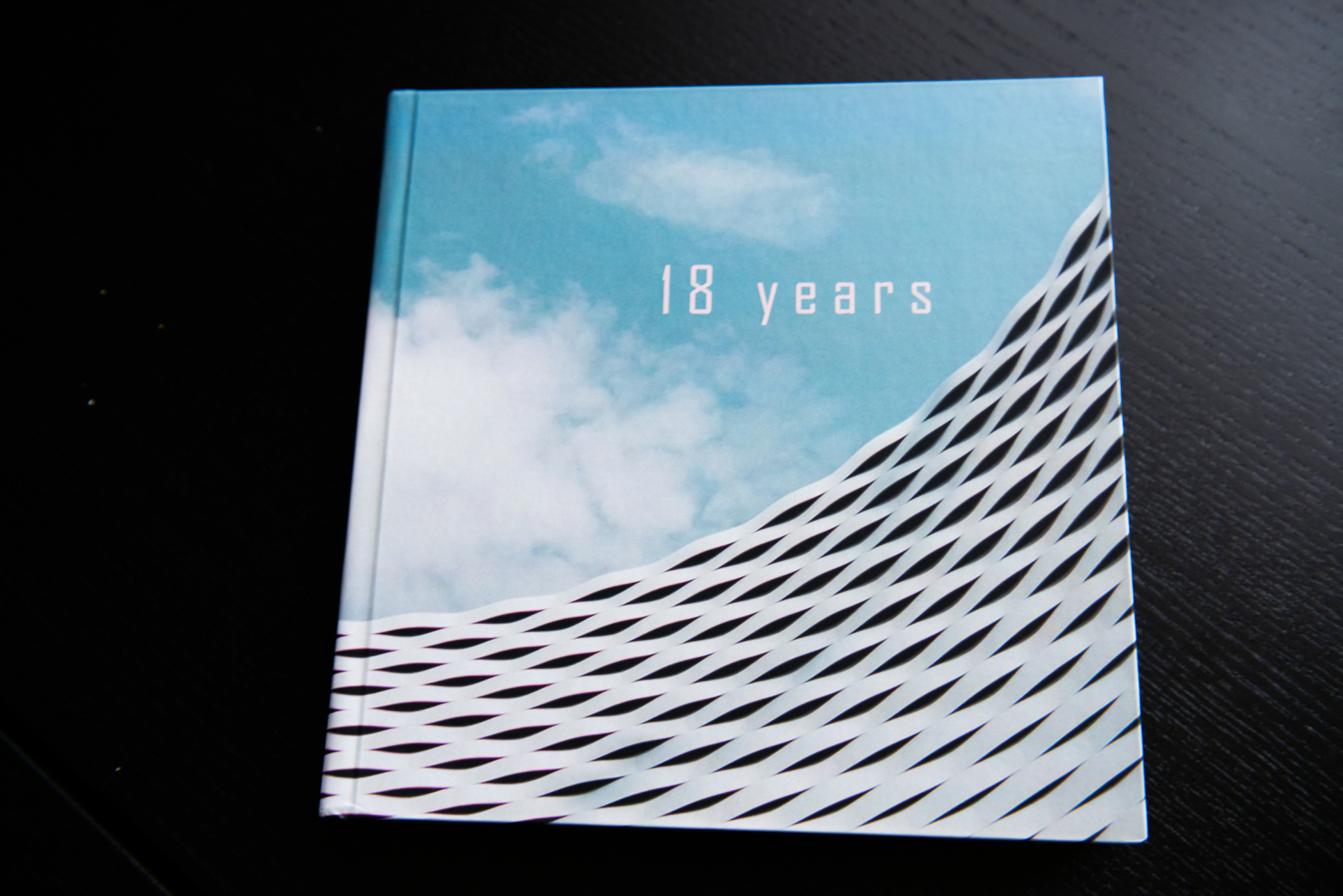 Фотокнига на 18 лет. Съемка+книга в одном подарке. Фотограф Котова Валентина