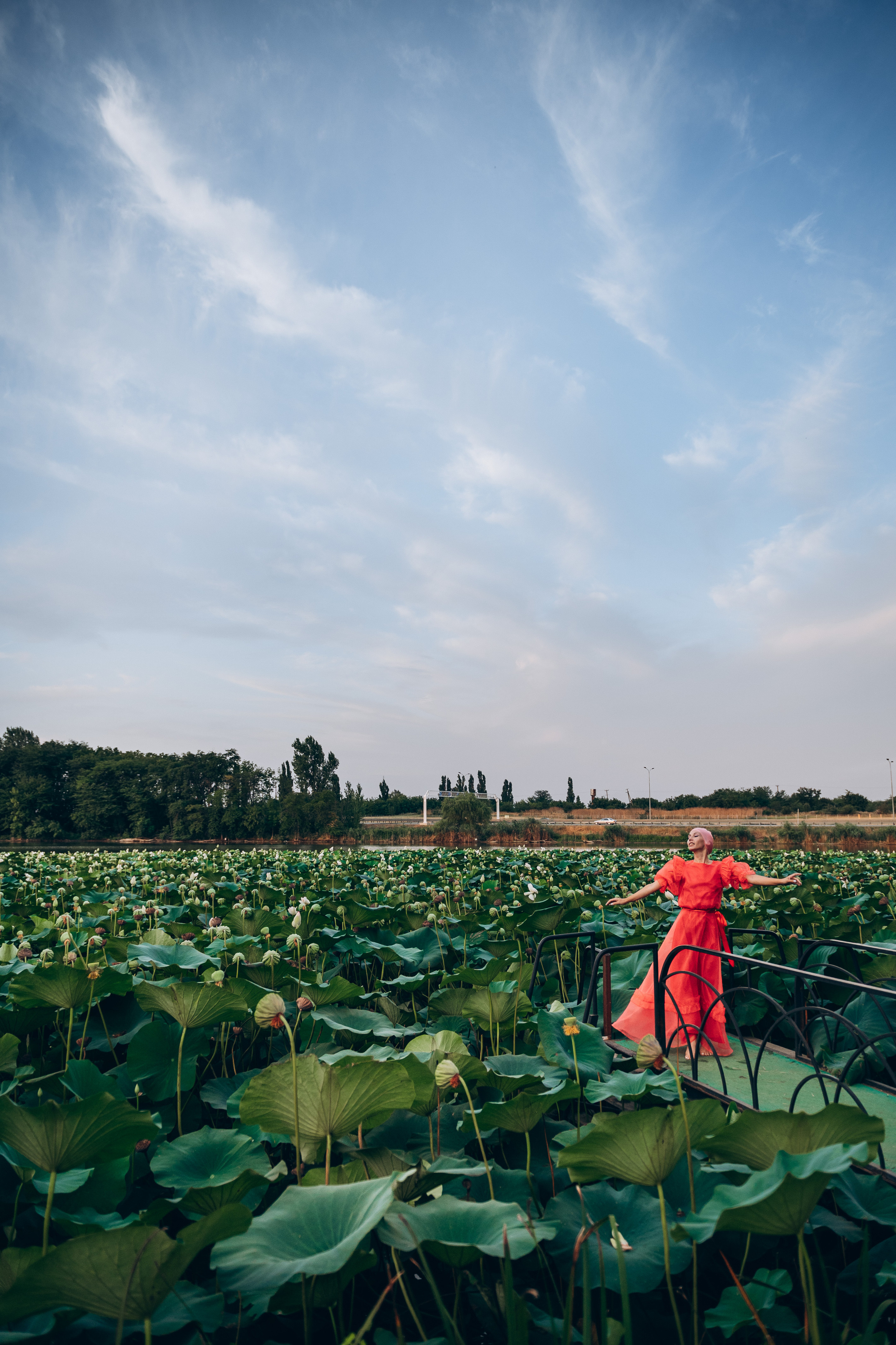 Индивидуальная съемка. Лотосы. Фотограф Котова Валентина