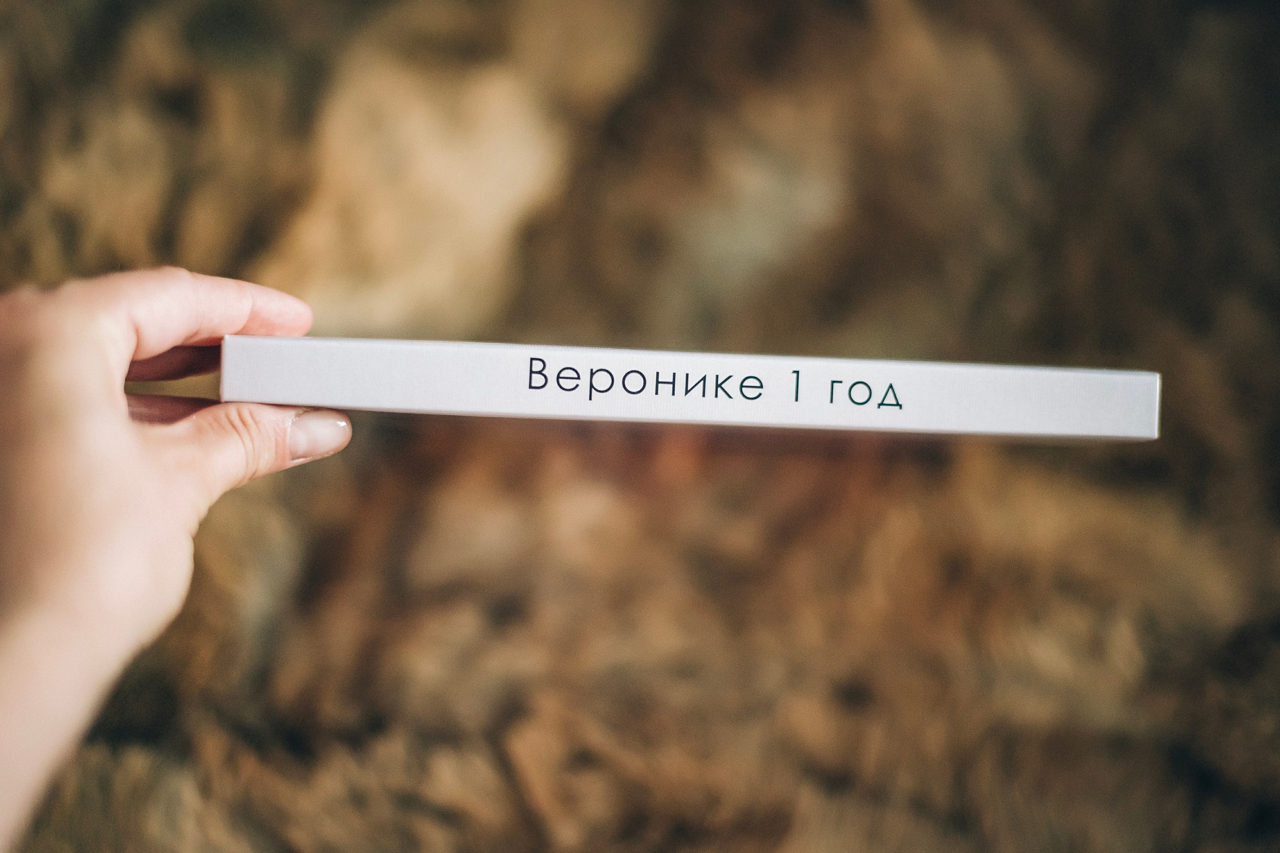 1 годик Вероничке. Фотограф Котова Валентина