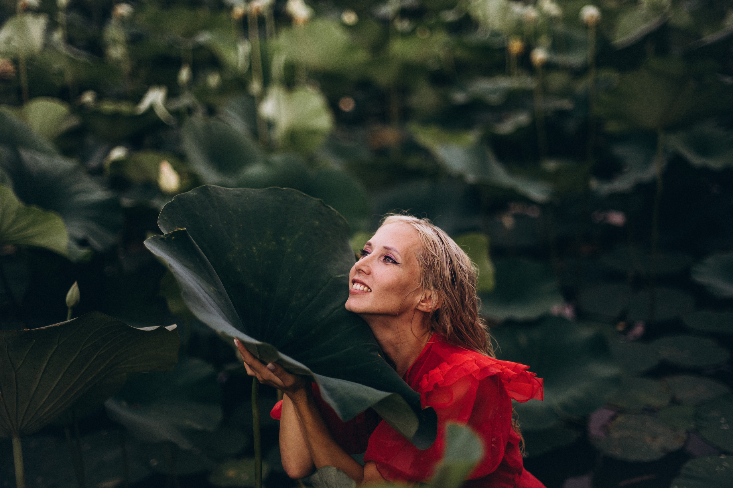 Индивидуальная съемка. Лотосы. Фотограф Котова Валентина