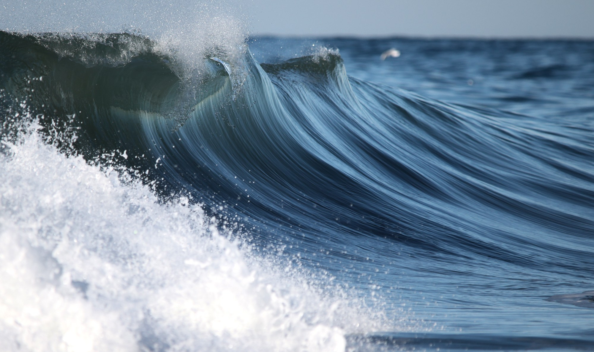 Море и серферы. Репортажный и постановочный Наталья Санникова