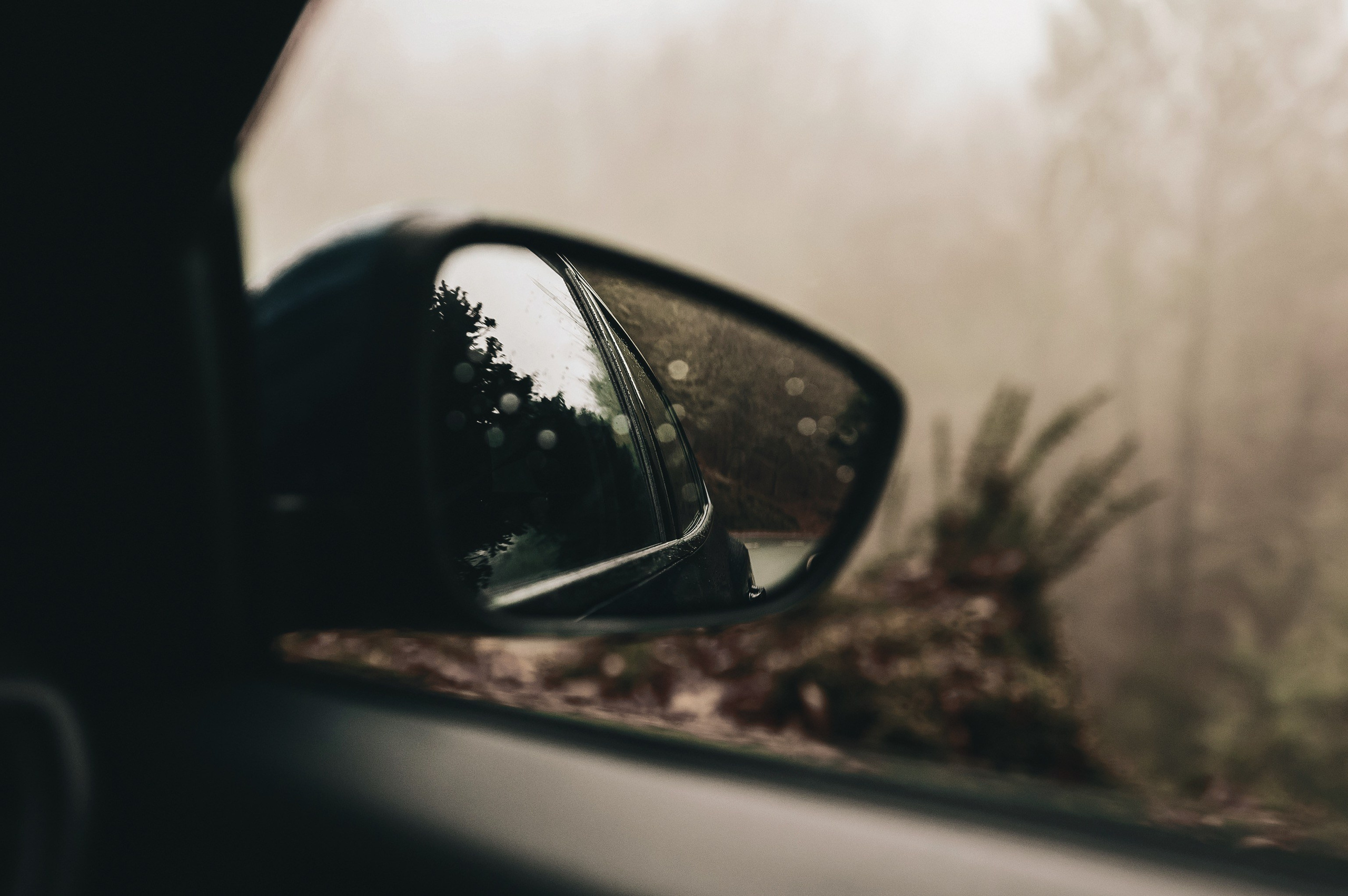 Madeira Island. Ekaterina Buneeva Photography