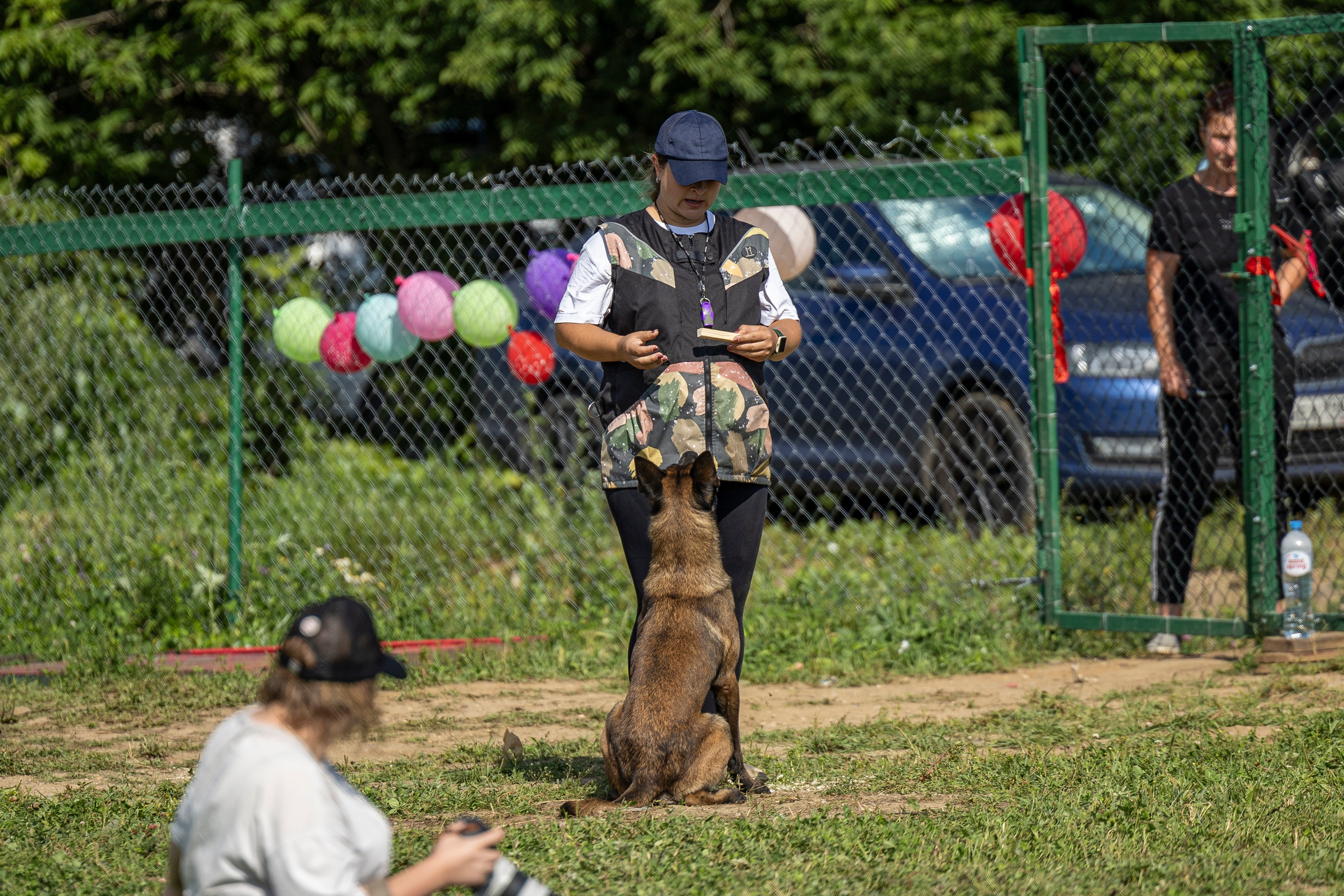 Соревнования по Мондьорингу г. Вологда 10-11.08.2024. Фотограф-анималист Анна Маринич