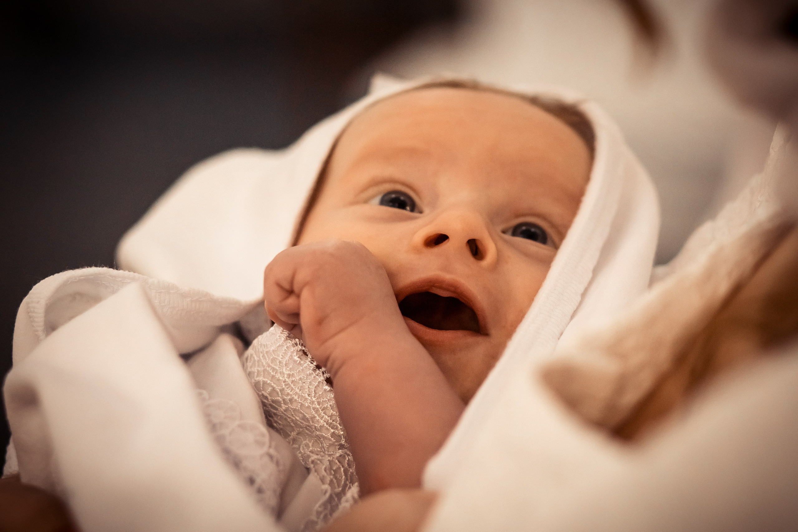 Крещение Льва