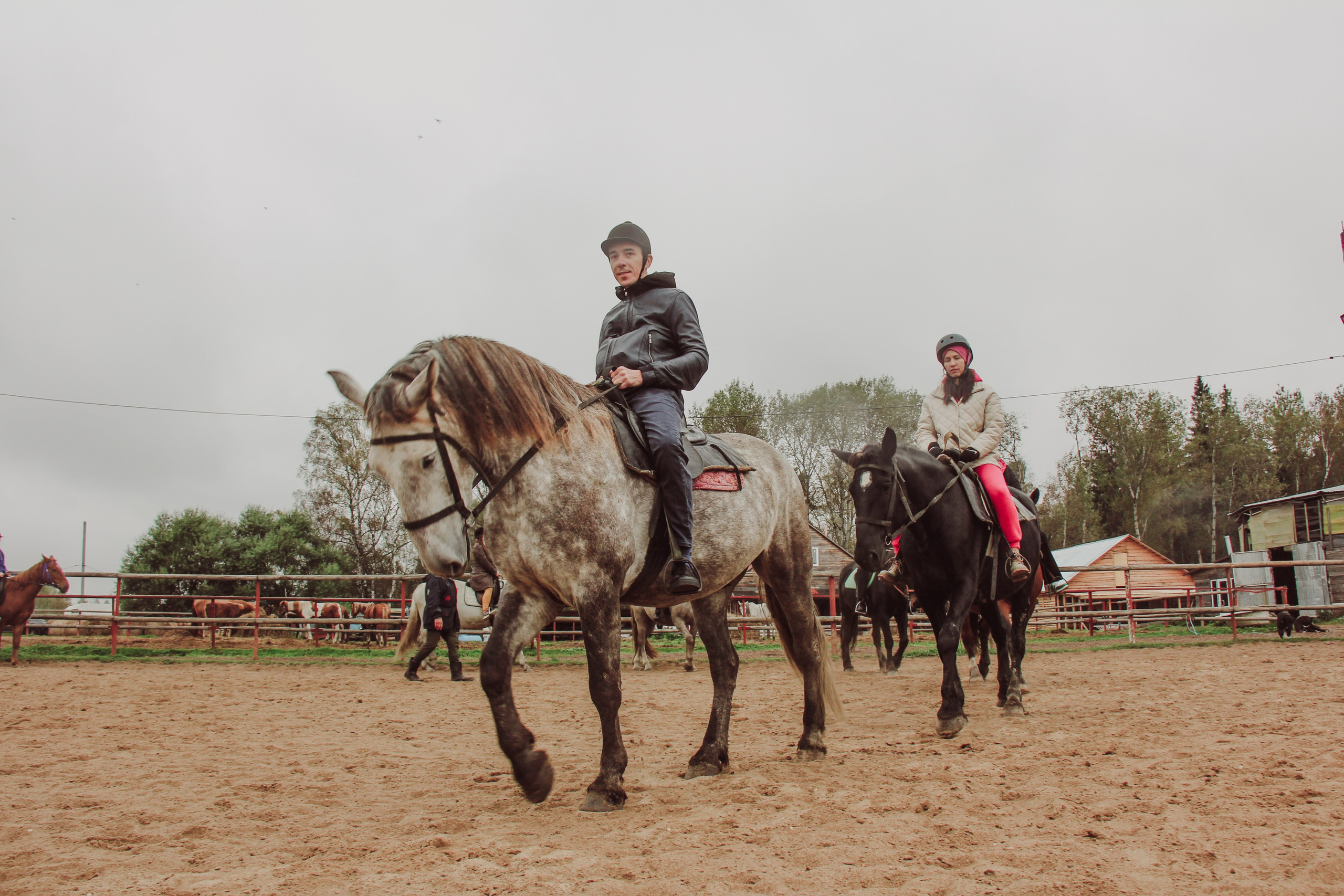 Лошадинг | 27.09.2025. Галерея Фантим