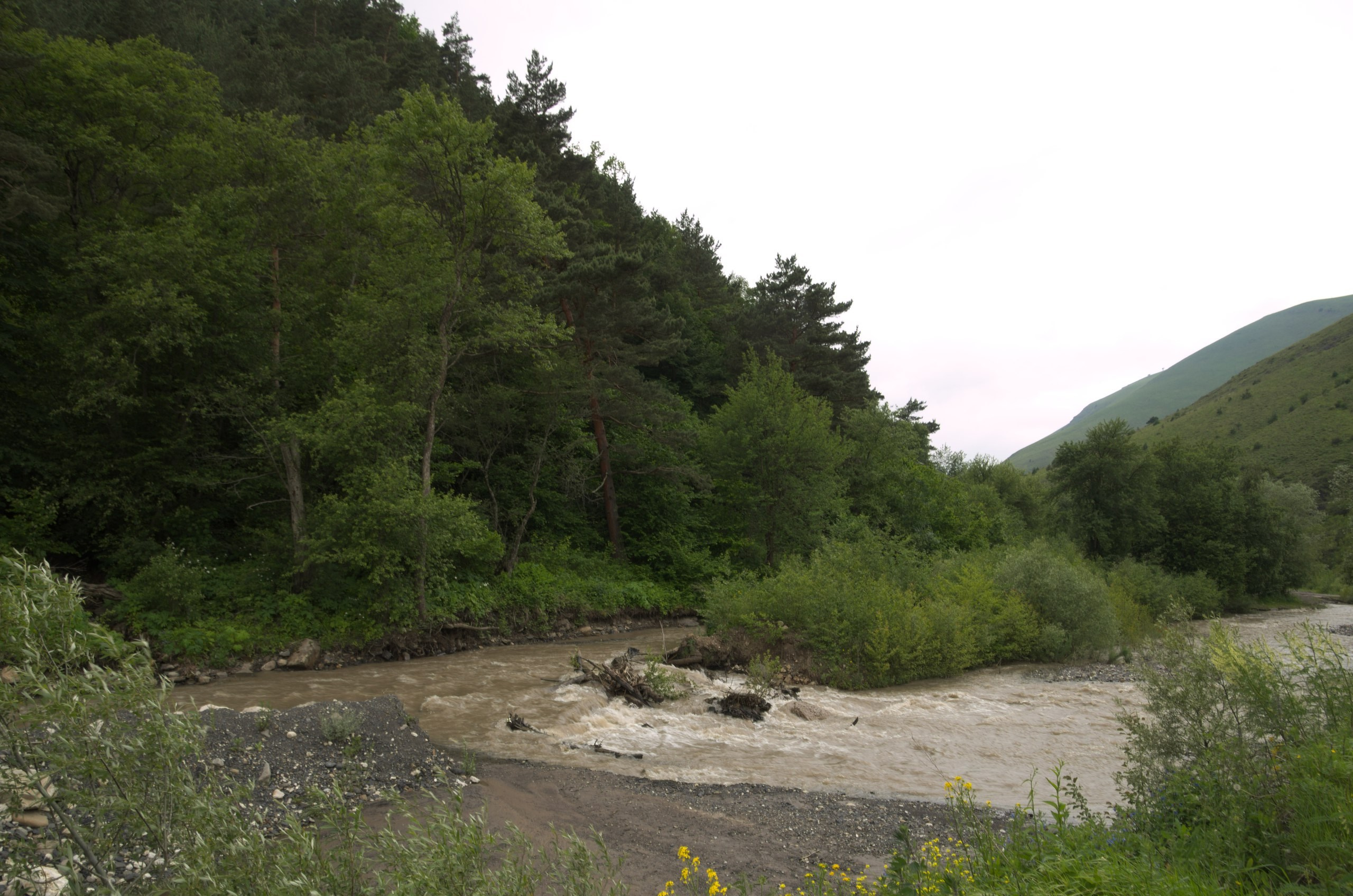 Чечня+Ингушетия | 10-12.06.2017. Галерея Фантим