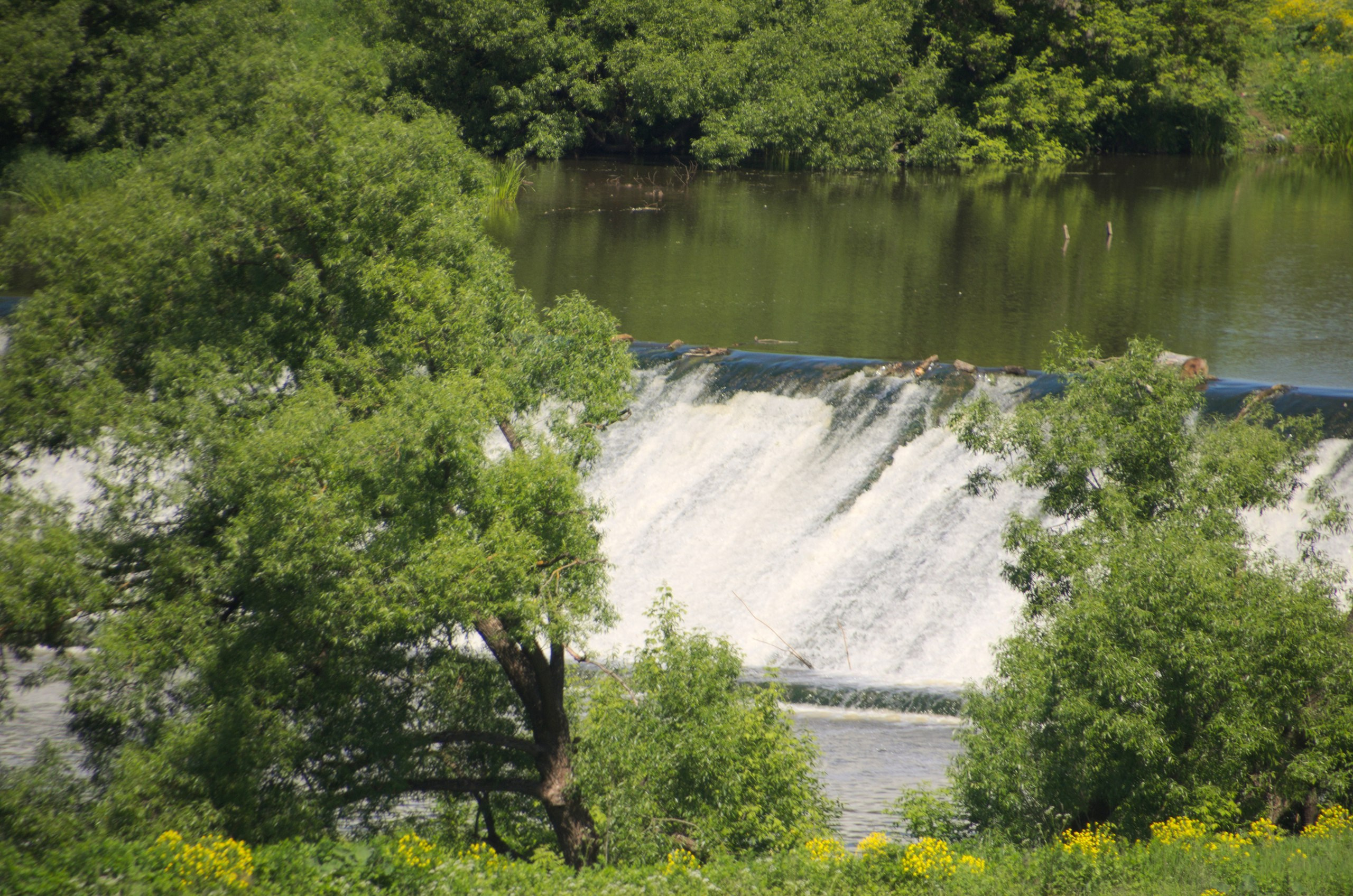 Таруса+Серпухов | 18.06.2017. Галерея Фантим
