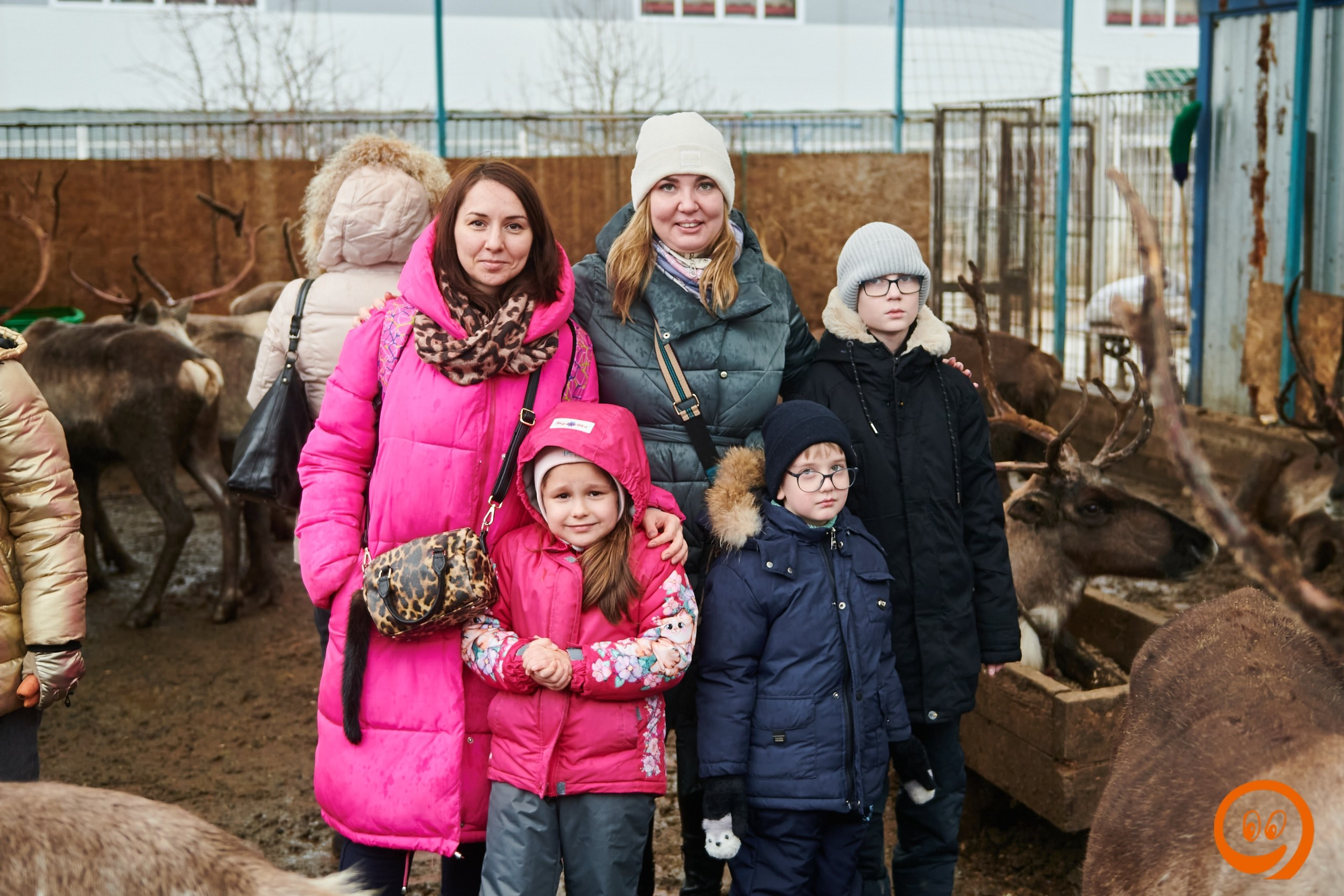 В гости к северным оленям | 18.01.2025. Галерея Фантим