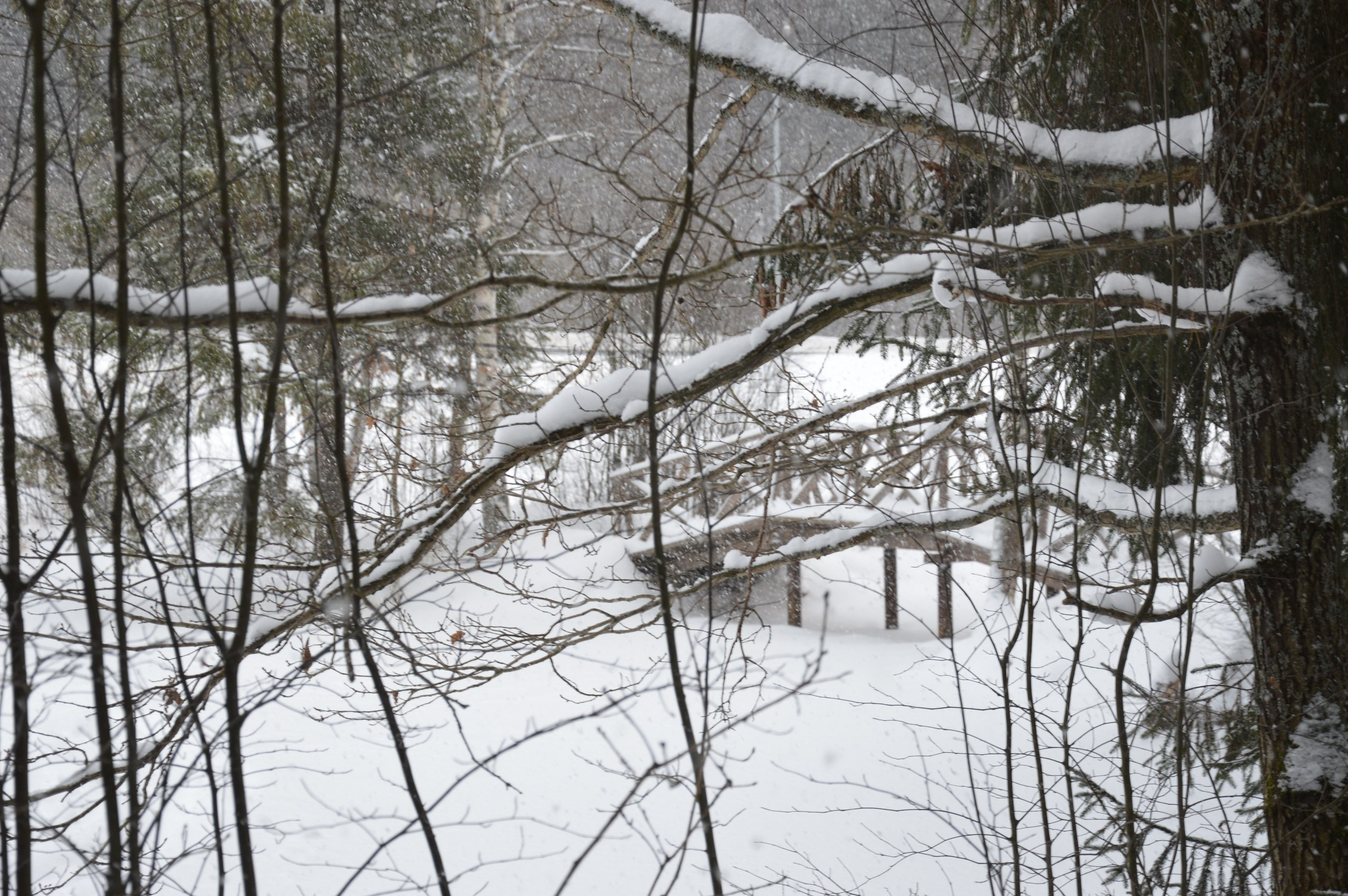 Сергиев Посад | 11.12.2016. Галерея Фантим