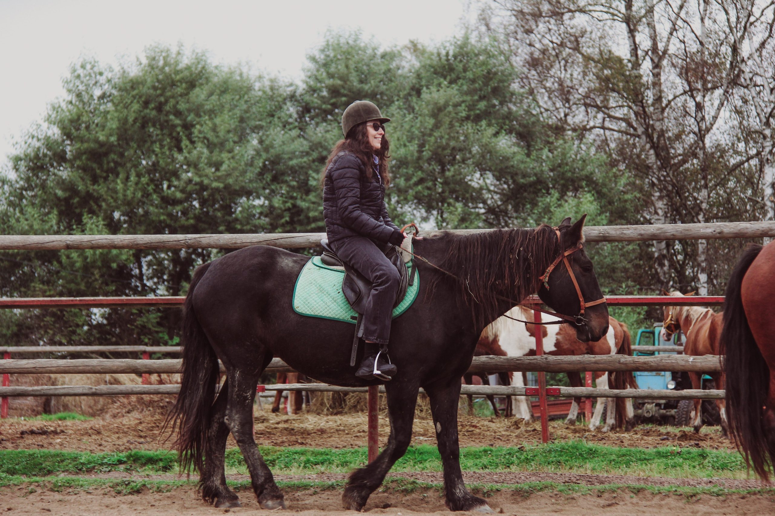 Лошадинг | 27.09.2025. Галерея Фантим