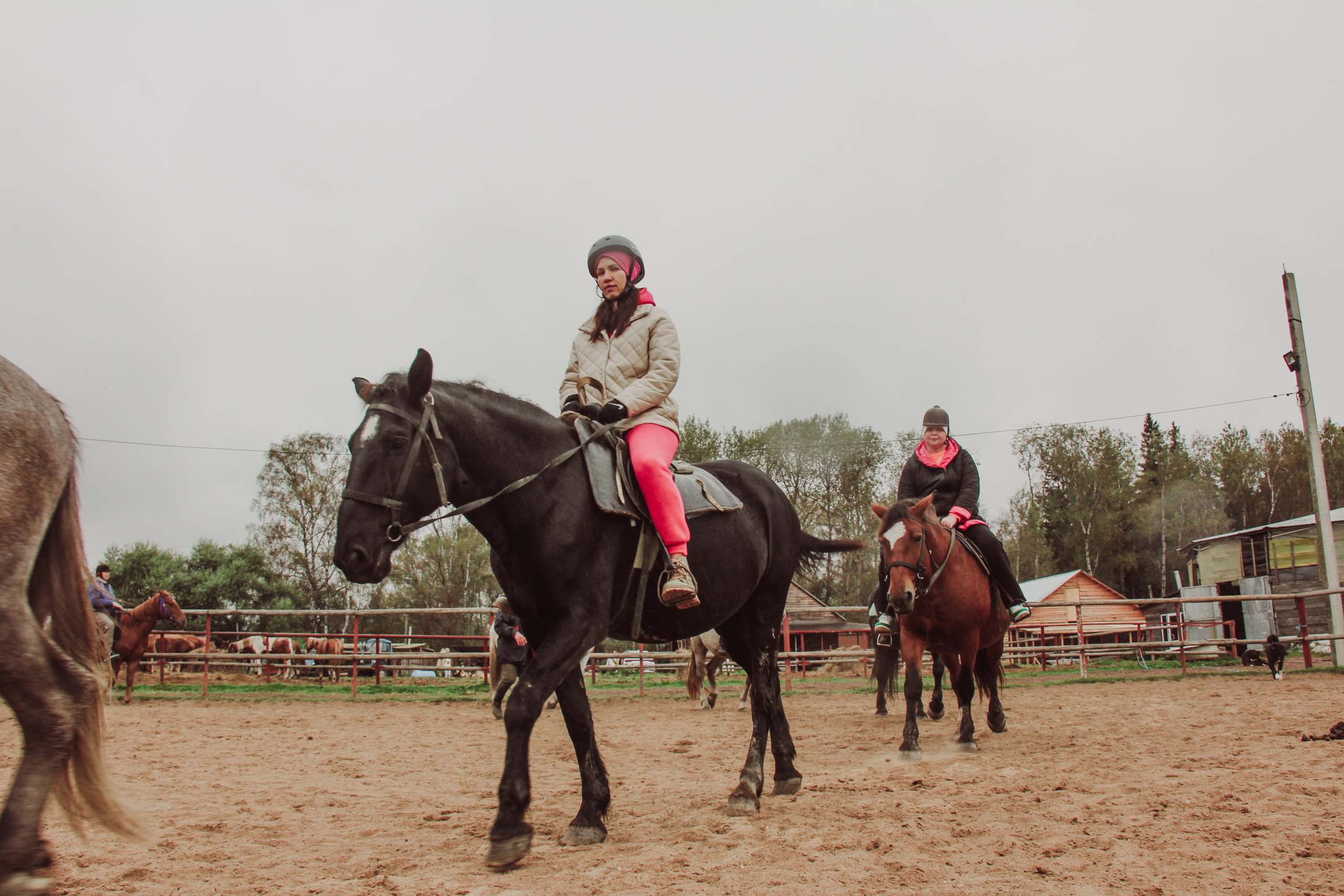 Лошадинг | 27.09.2025. Галерея Фантим