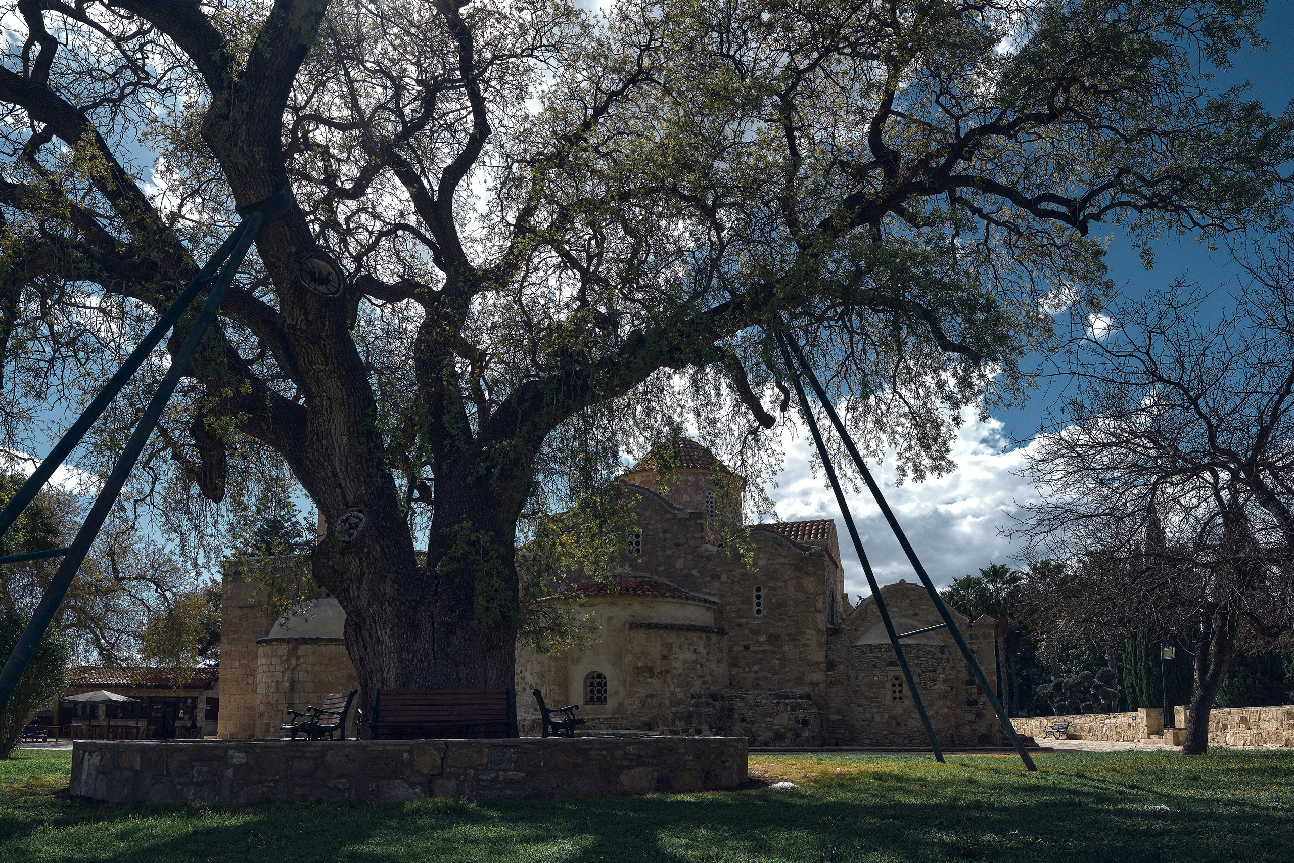 Cyprus 2024 / march. Aleksandr Kobtsev